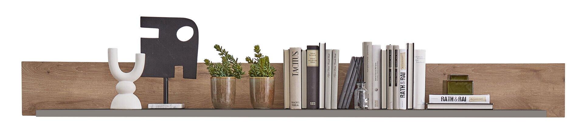 Dekoriertes Regal mit Skulptur, Pflanzen, Büchern (mit den Titeln "TACTUS" und "RATH & RAI") und einem abstrakten schwarzen Objekt.