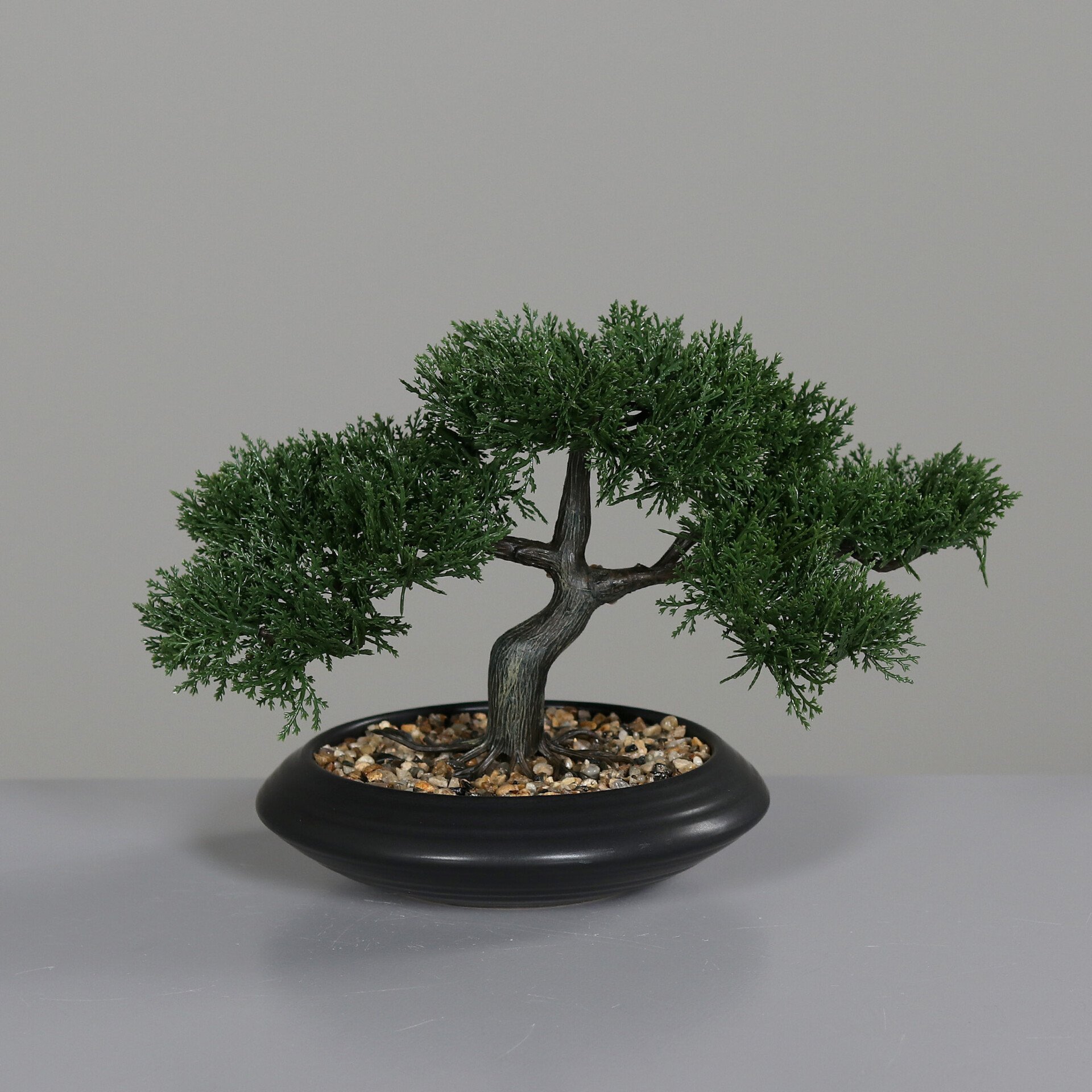 Zedern-Bonsai