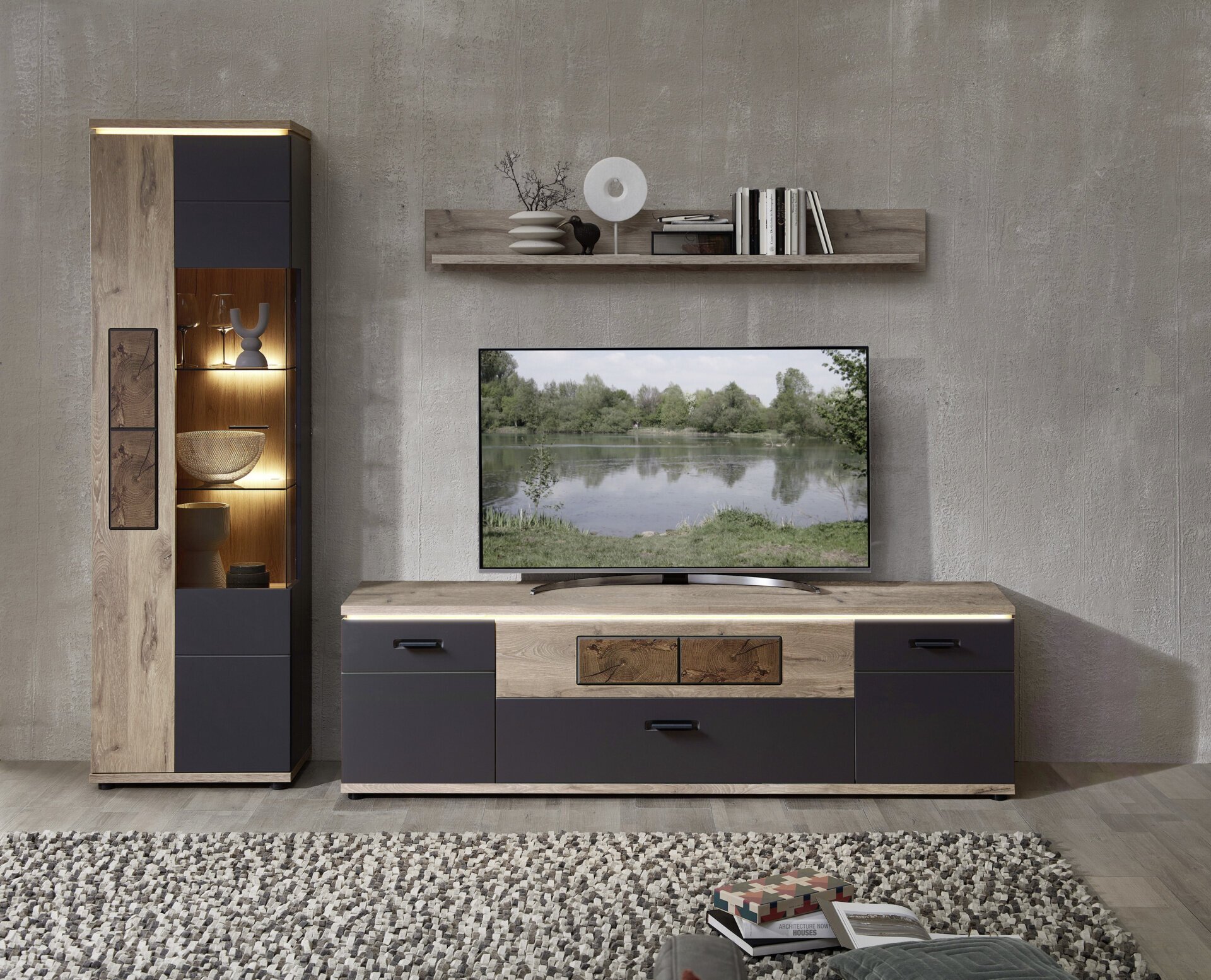 TV-/Wohnlösung, Sina