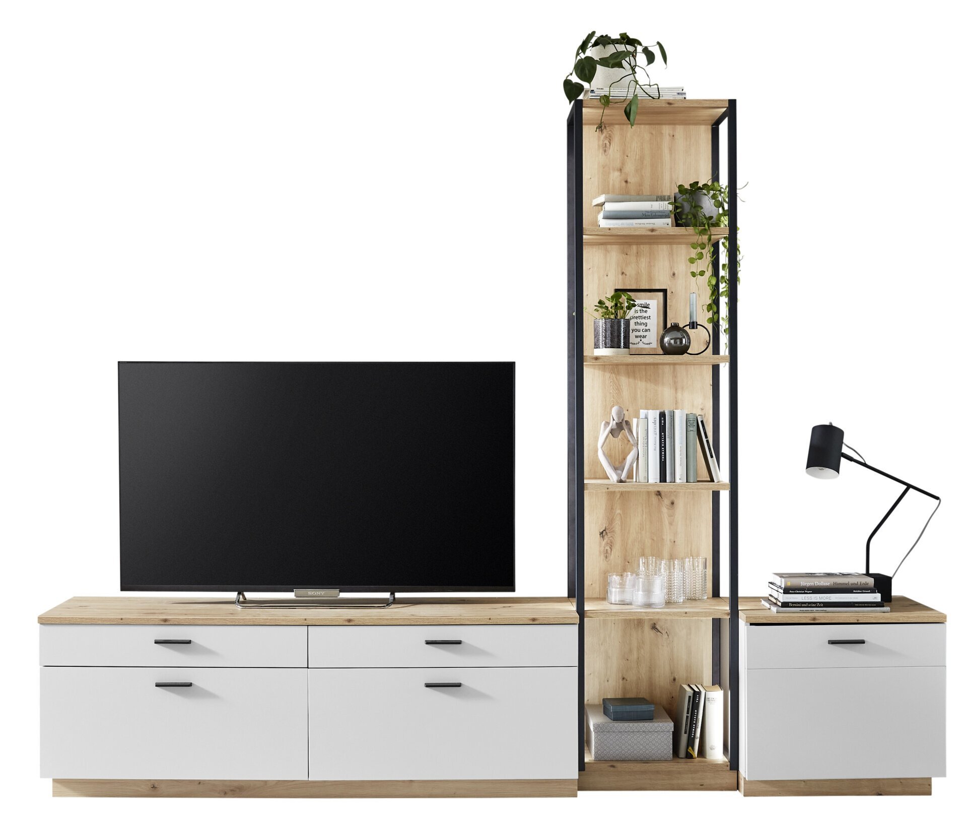 TV-/Wohnlösung, Basset