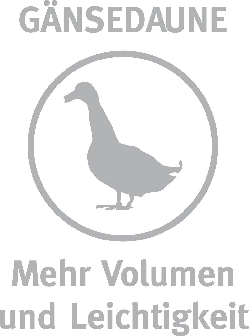 Stilisierte Zeichnung einer grauen Gans im Kreis, als Symbol für die hochwertige Gänsefederfüllung des Daunen-&Federnkissens Malea medium.