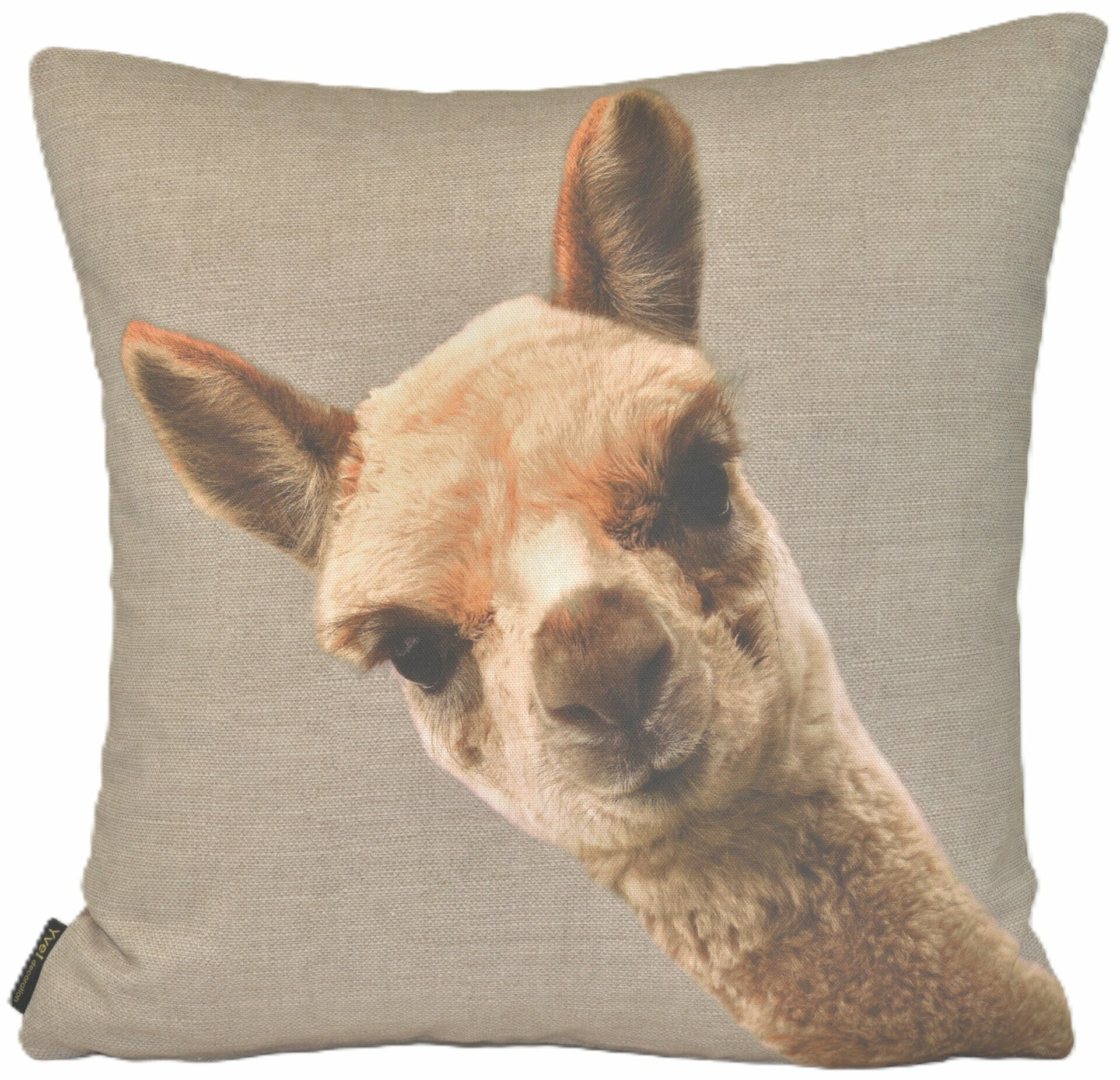 Kissenhülle, B: 45cm, T: 45cm