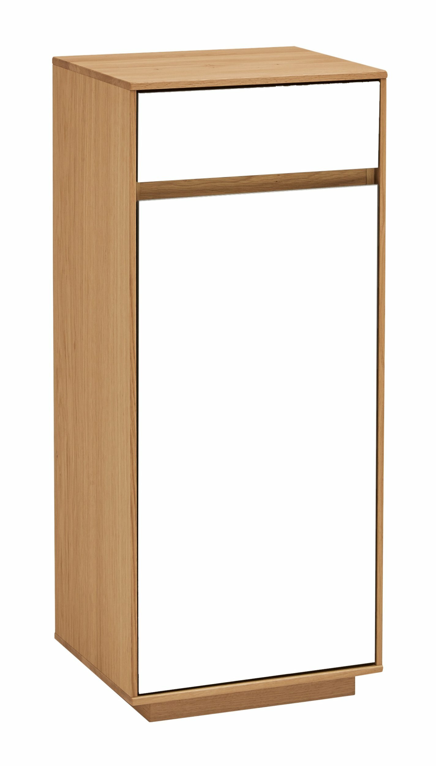 Mehrzweckschrank  , V 100