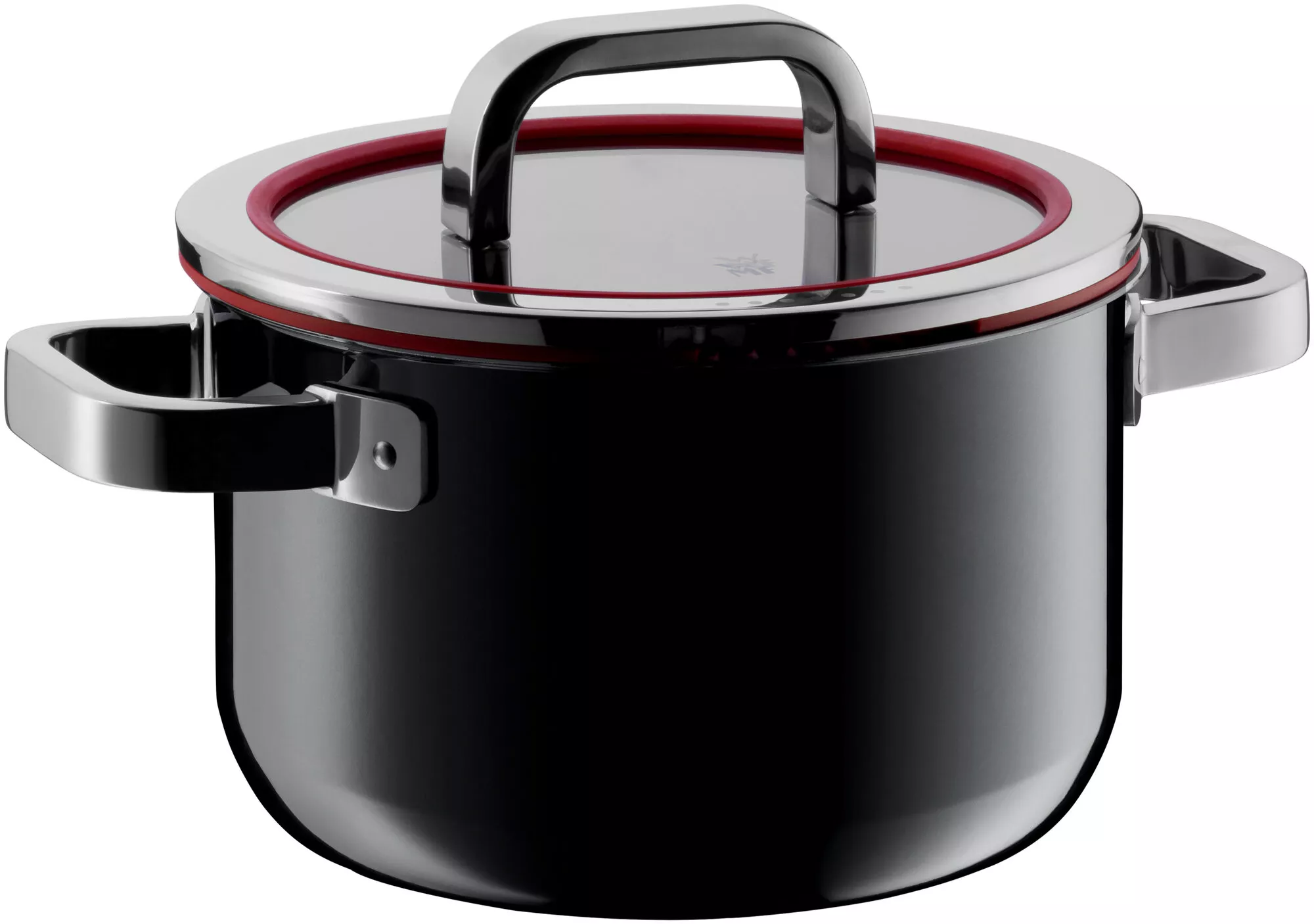 Fleischtopf, Wmf ft Functional