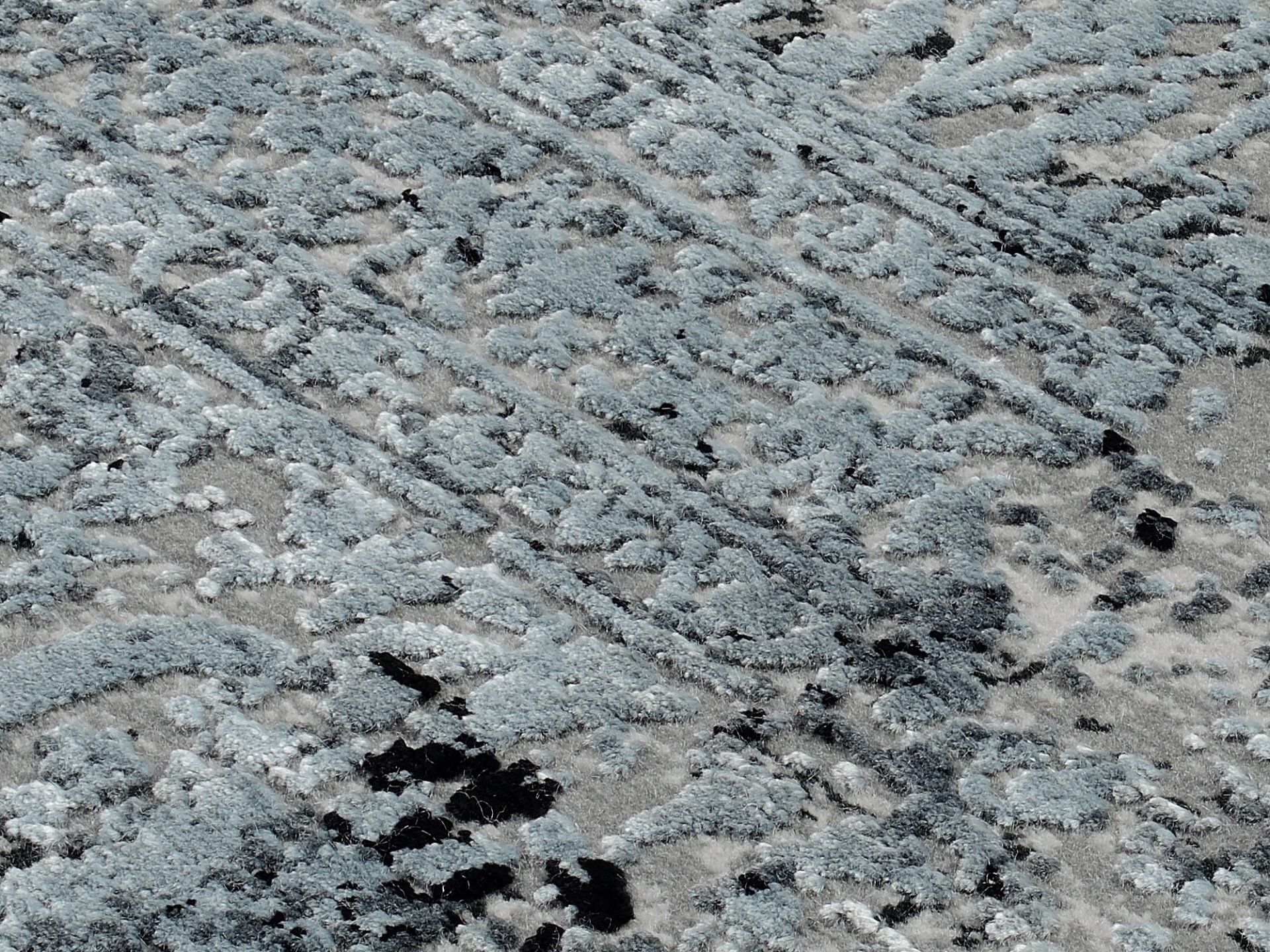 Maschinenwebteppich, Thalorin