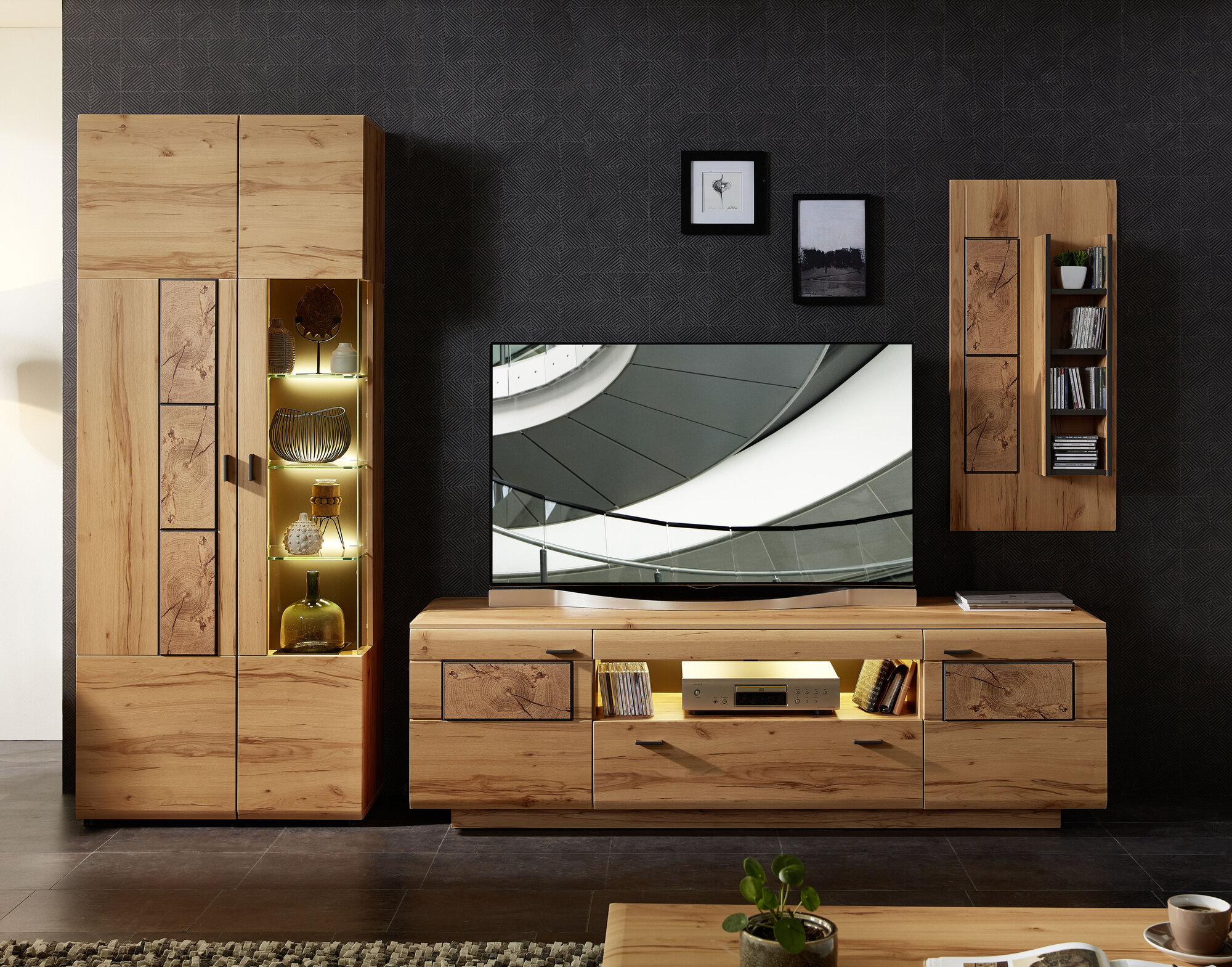 TV-/Wohnlösung, Bern