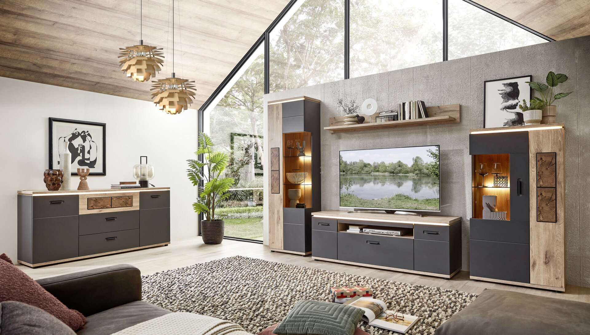 TV-/Wohnlösung, Sina