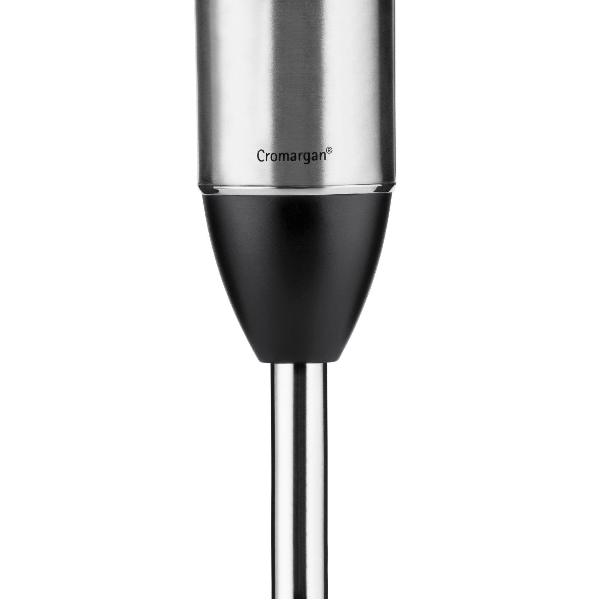 Stabmixer