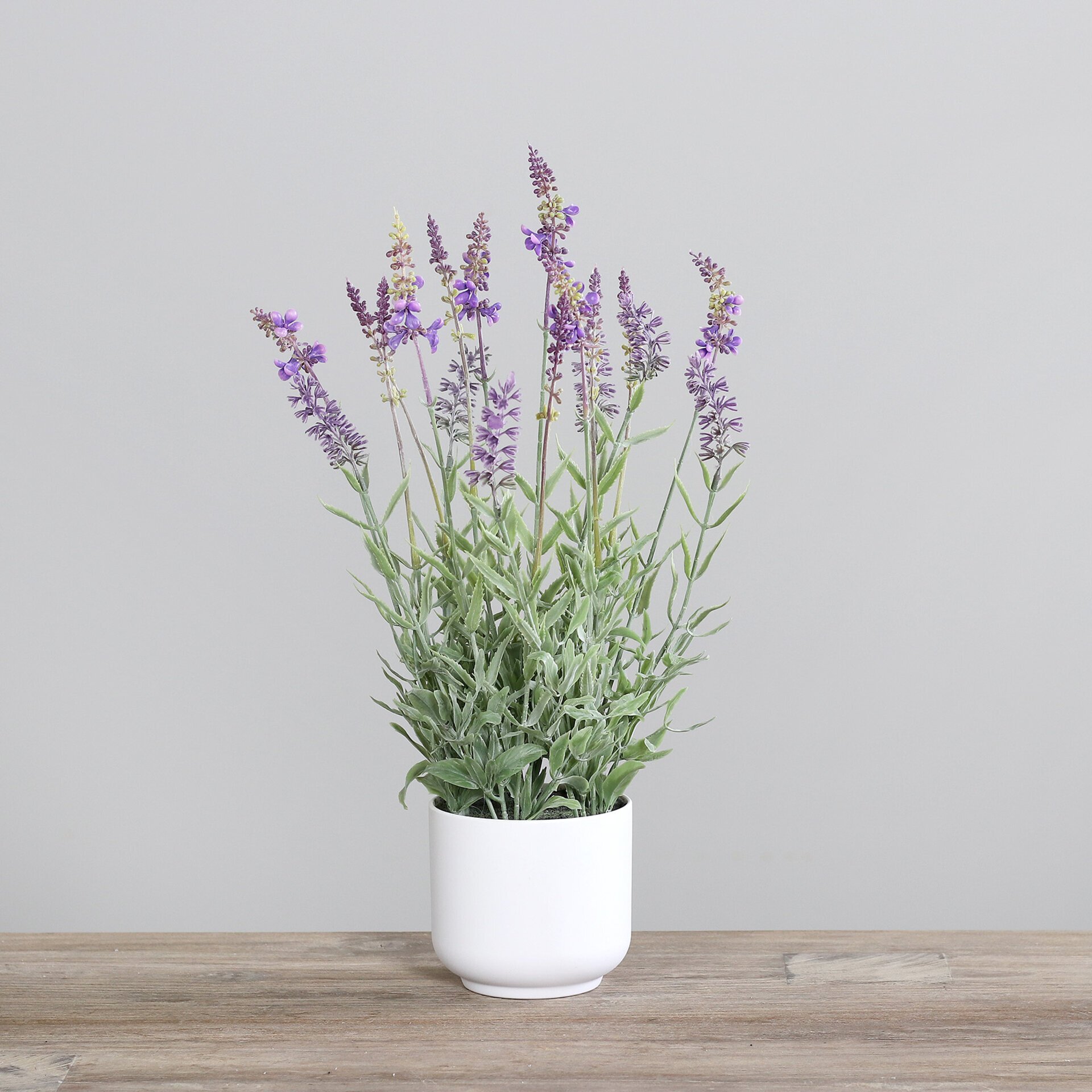 Lavendel