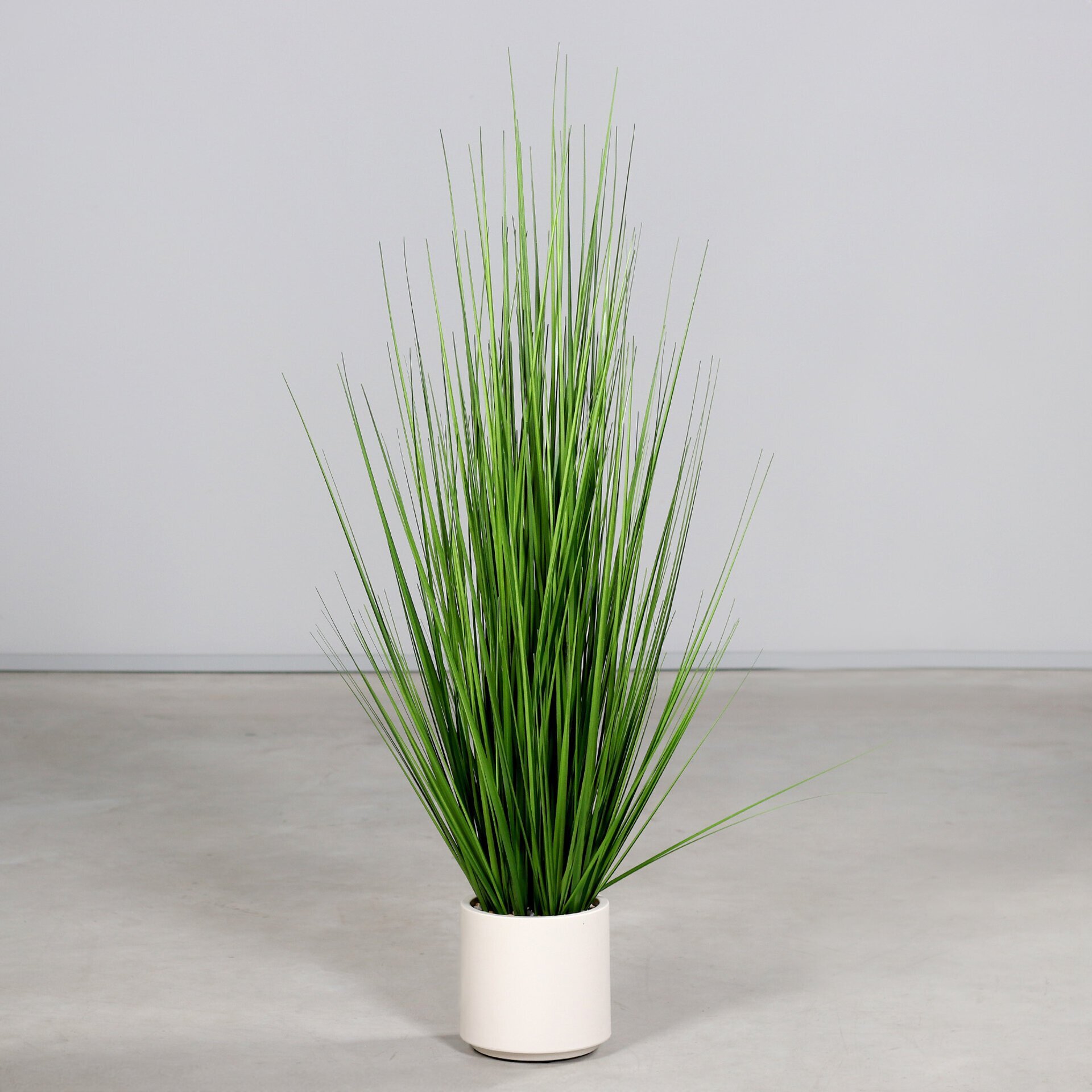 Gras