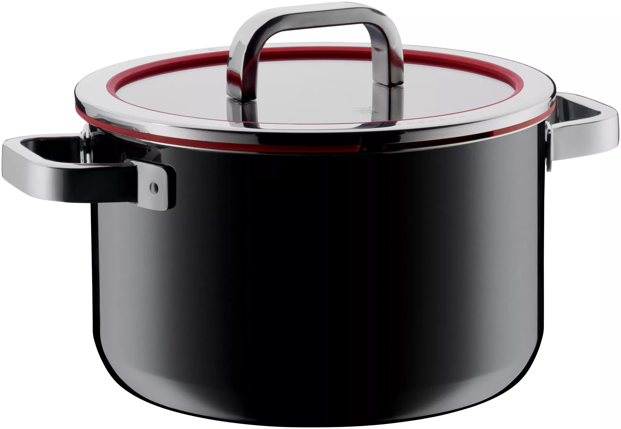 Fleischtopf, Wmf ft Functional