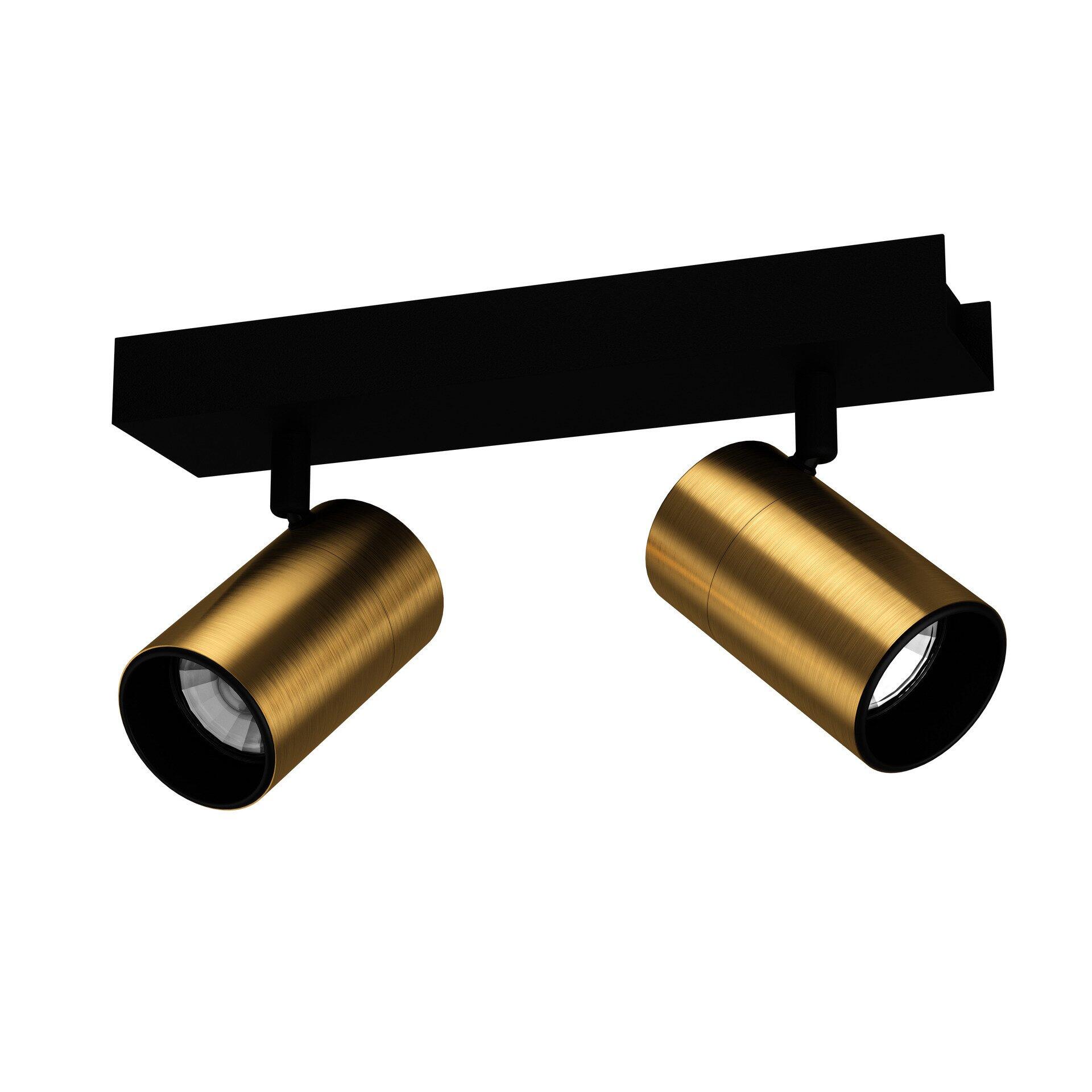Spot, Cumaribo: Schwarze Schiene mit zwei goldenen, zylindrischen LED-Strahlerleuchten in vertikaler Ausrichtung.