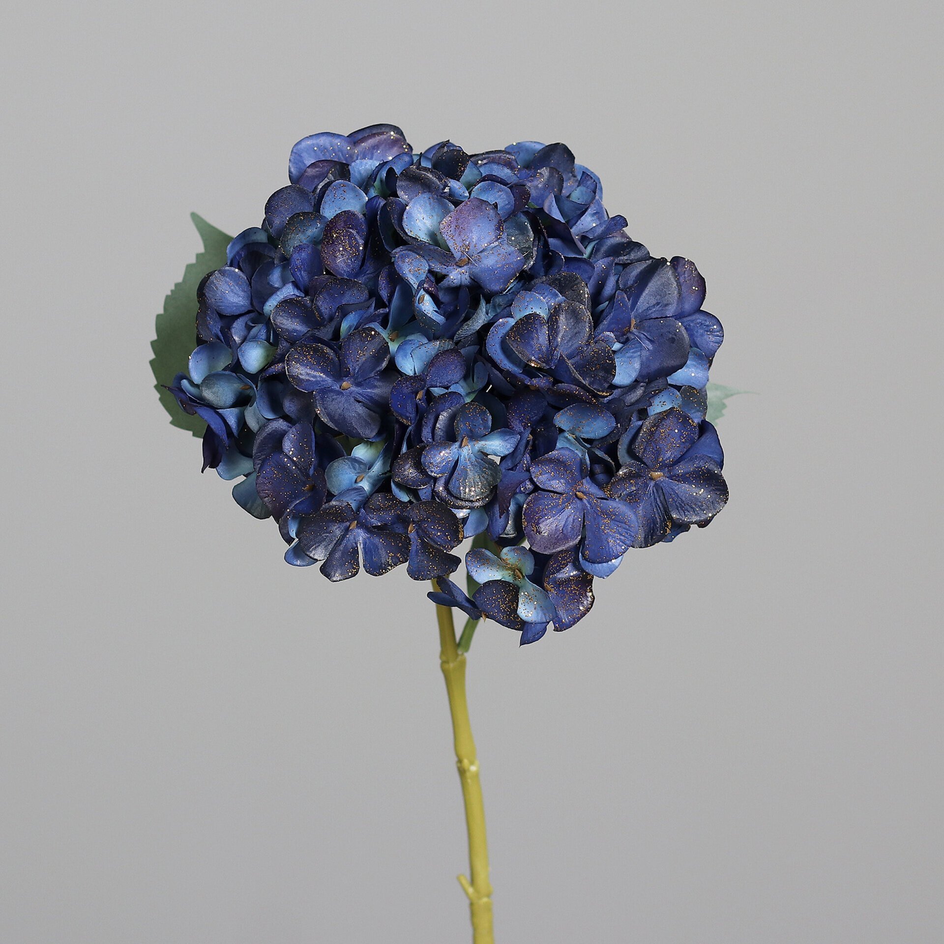 Hortensie