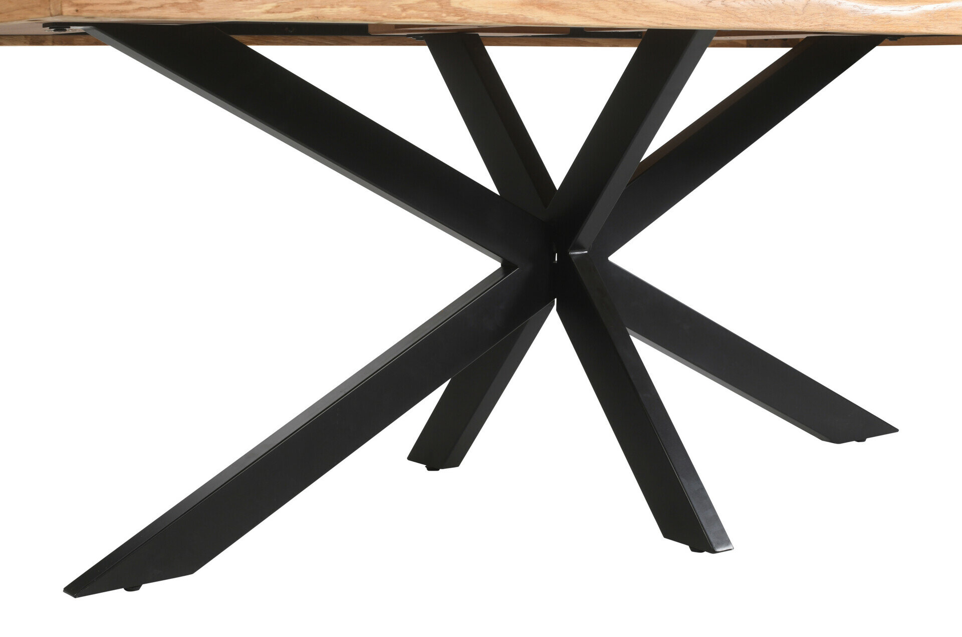 Tischfuß, Domino