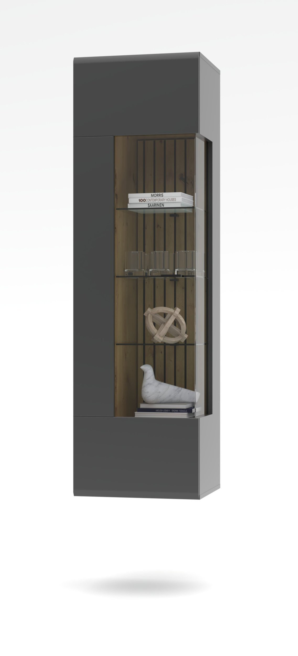 Vitrine, Evo
