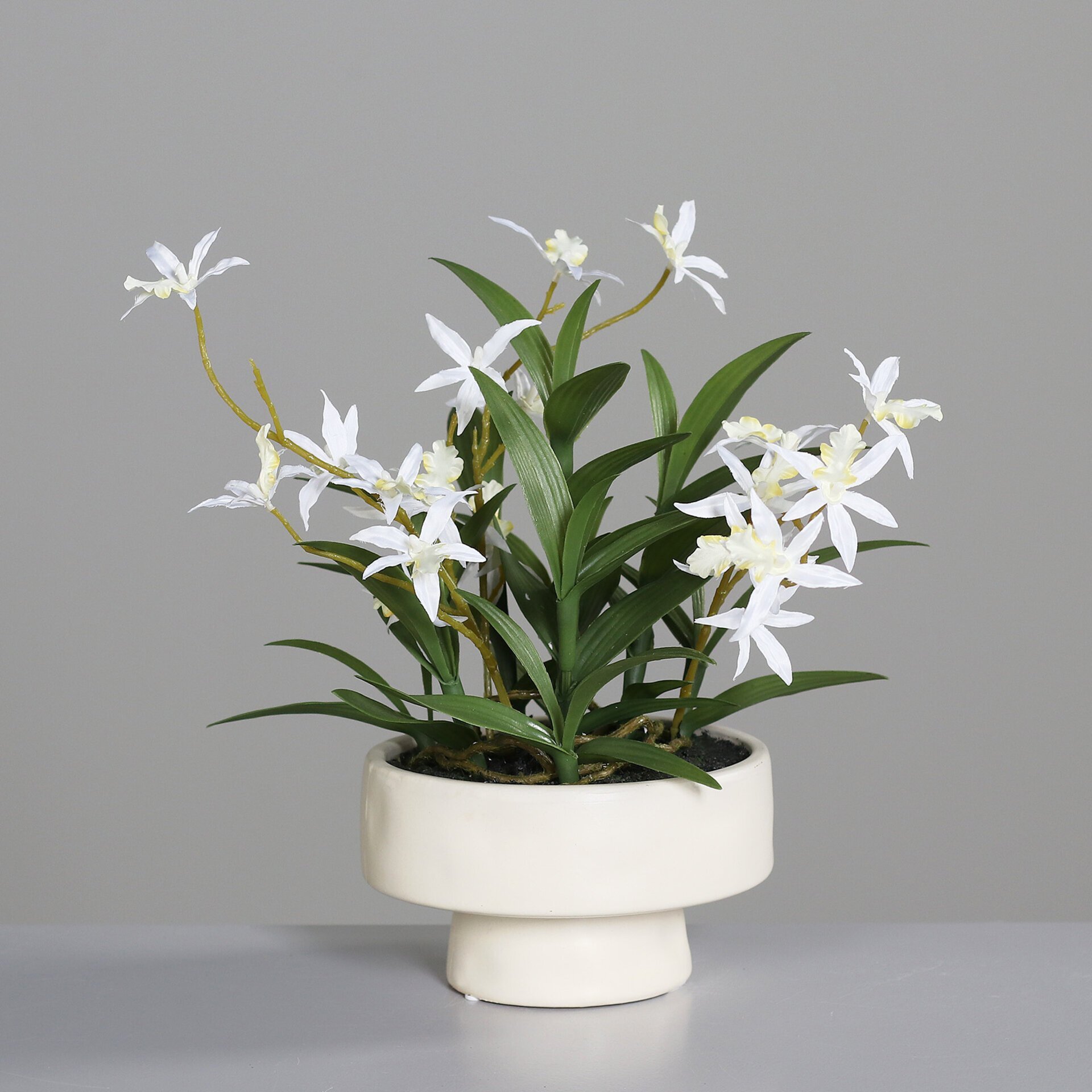 Orchideen