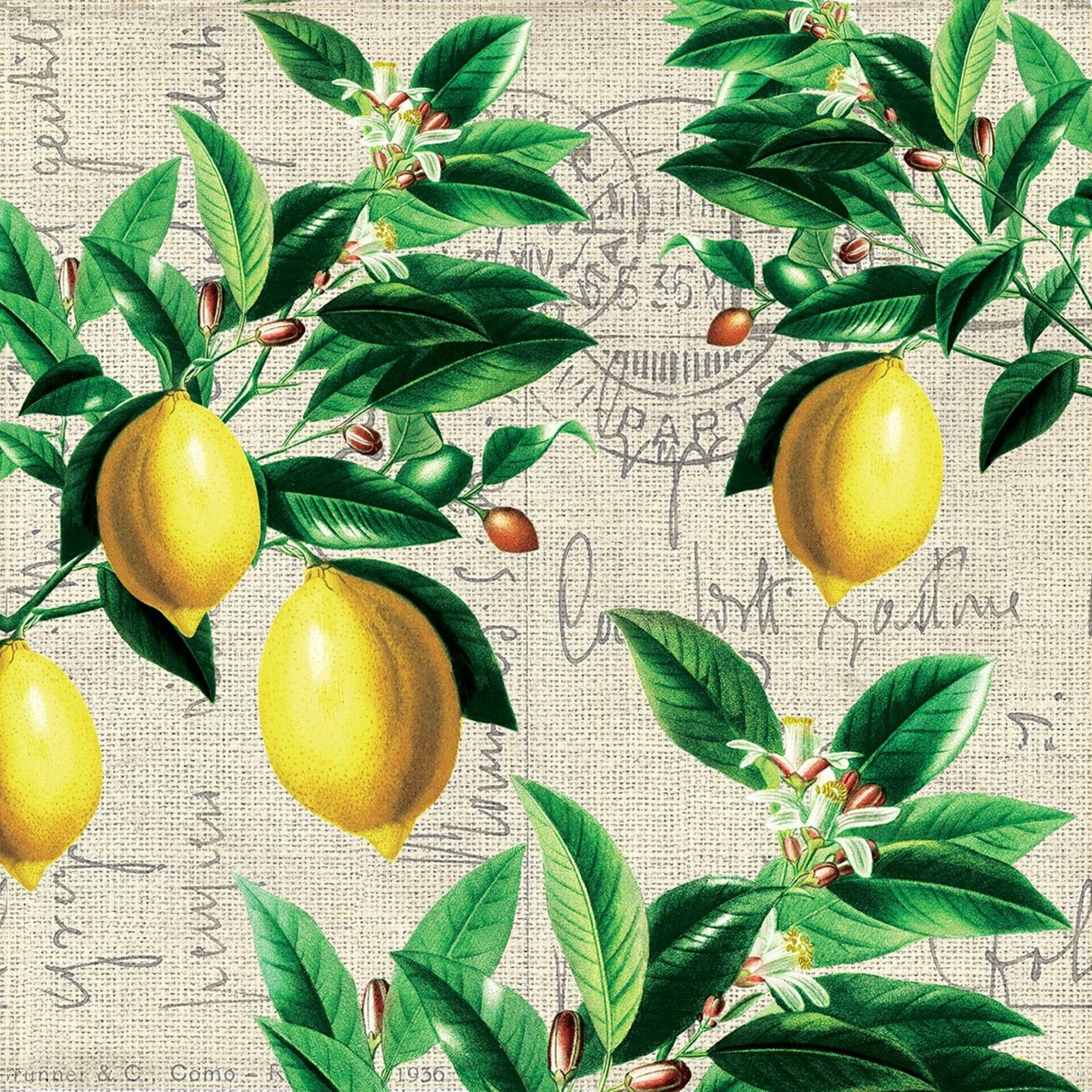 TI Napkin 33x33