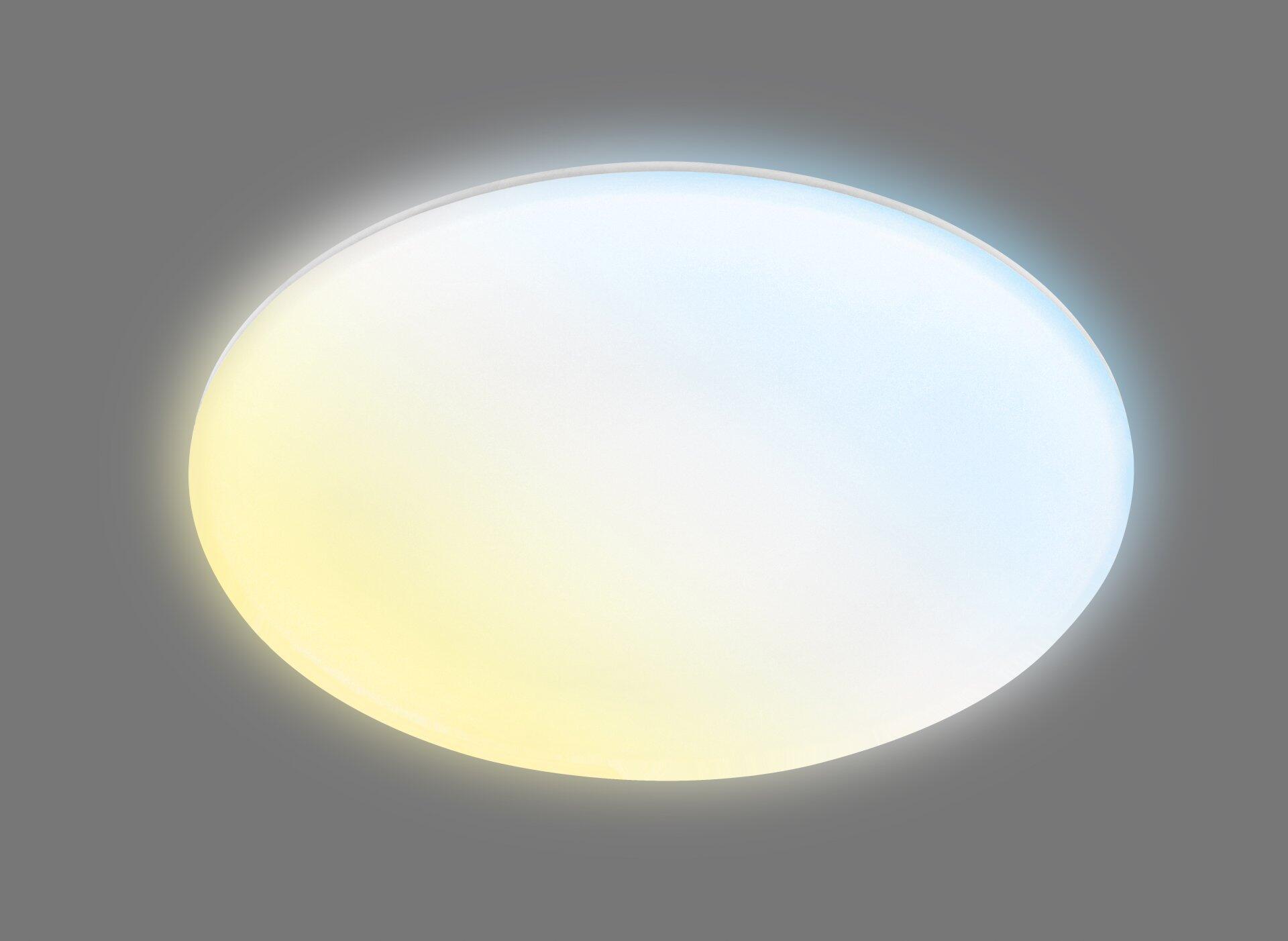 Runde Wand- und Deckenleuchte Rowny mit LED-Beleuchtung, frontal abgebildet und mit hellem Licht.