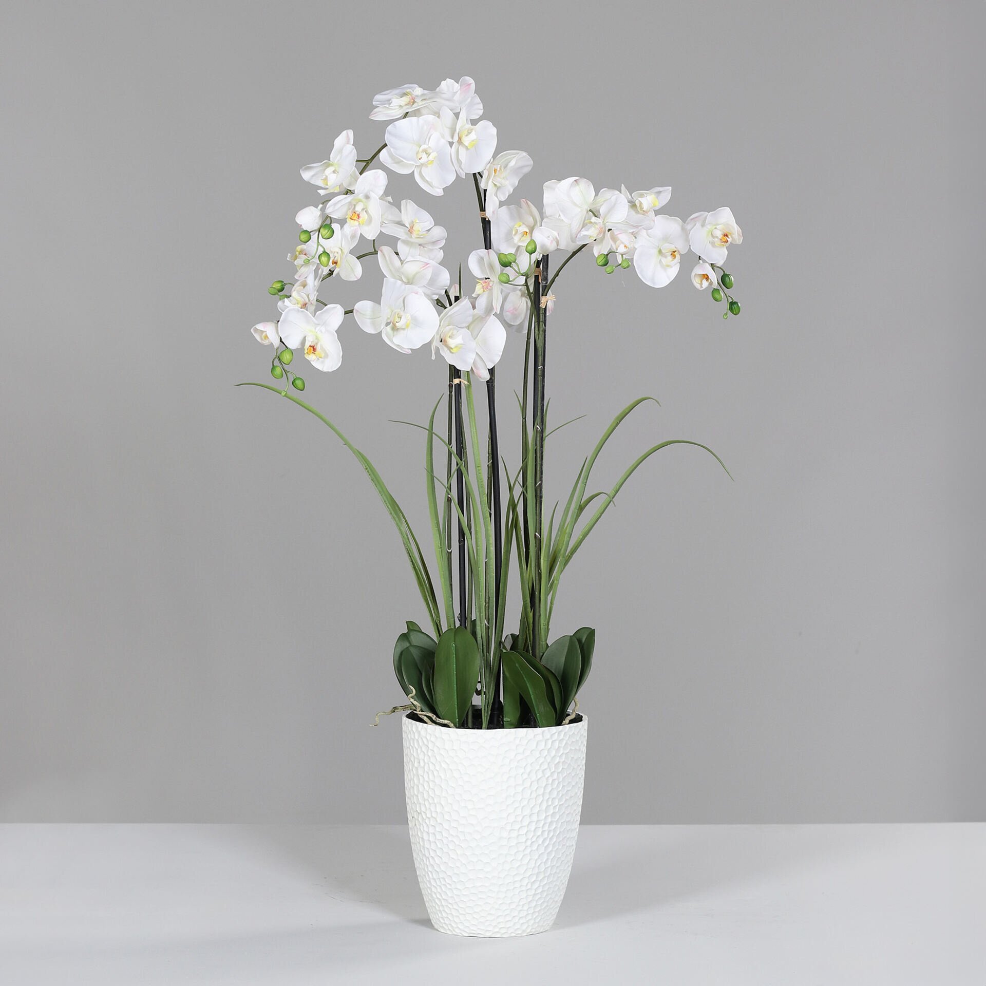 Orchideen-Arrangemen