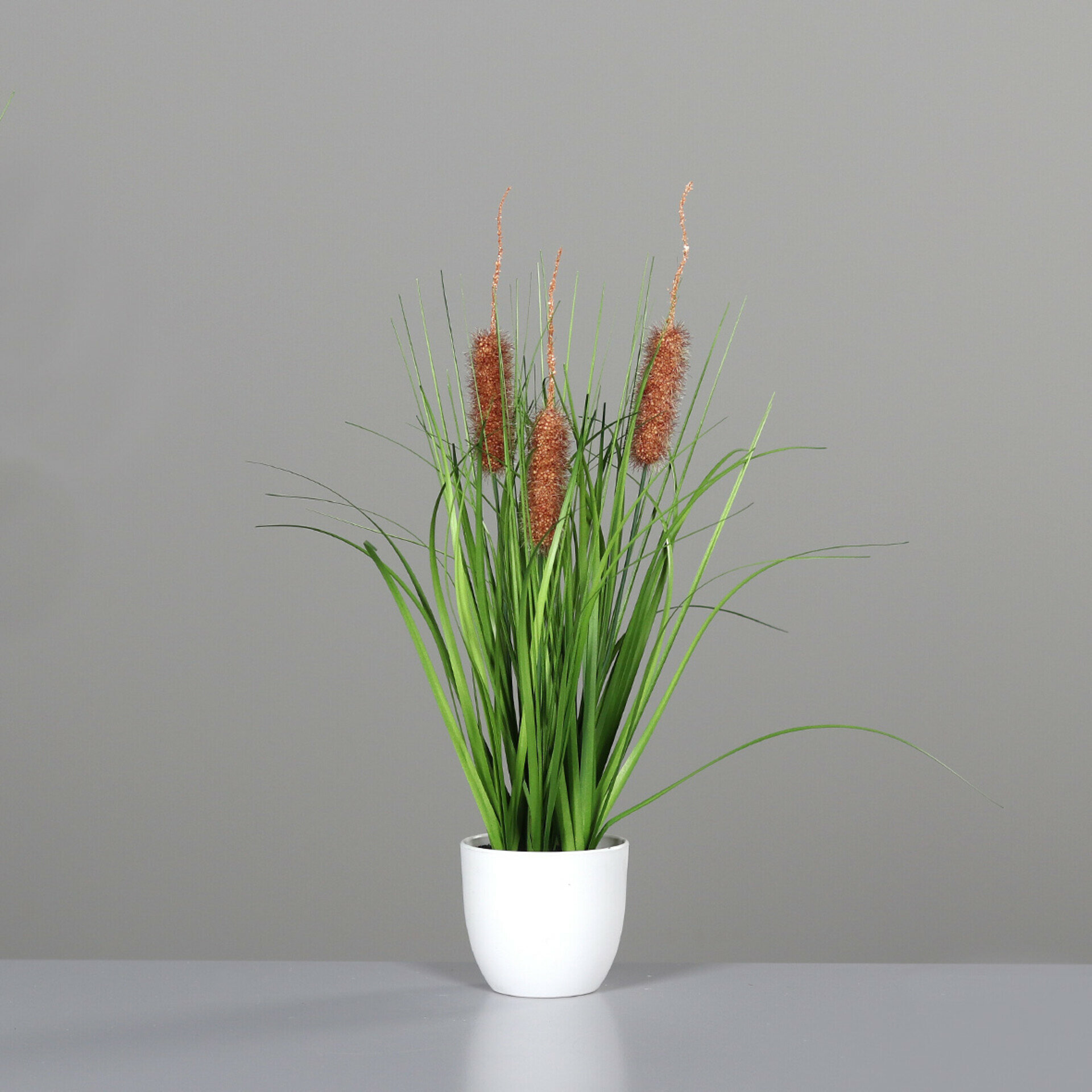 Gras Fruchtstand