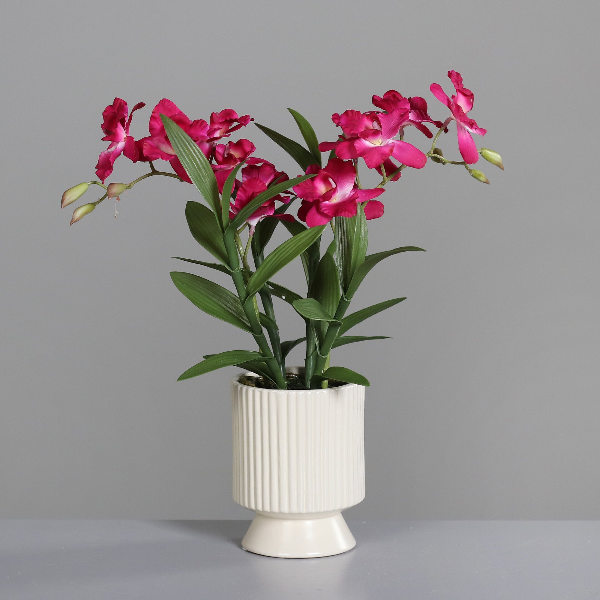 Orchidee