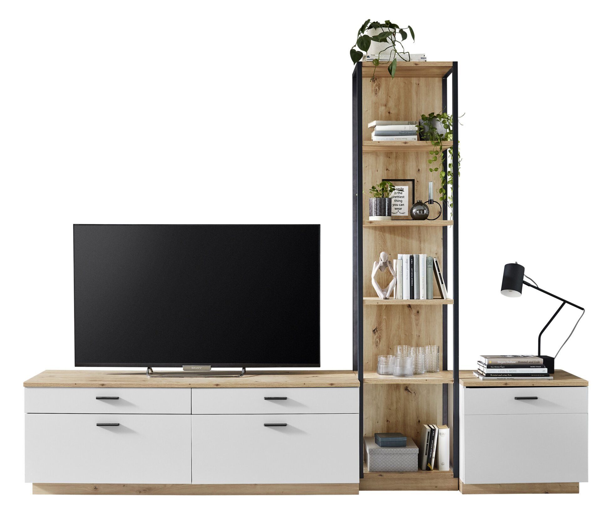 TV-/Wohnlösung, Basset