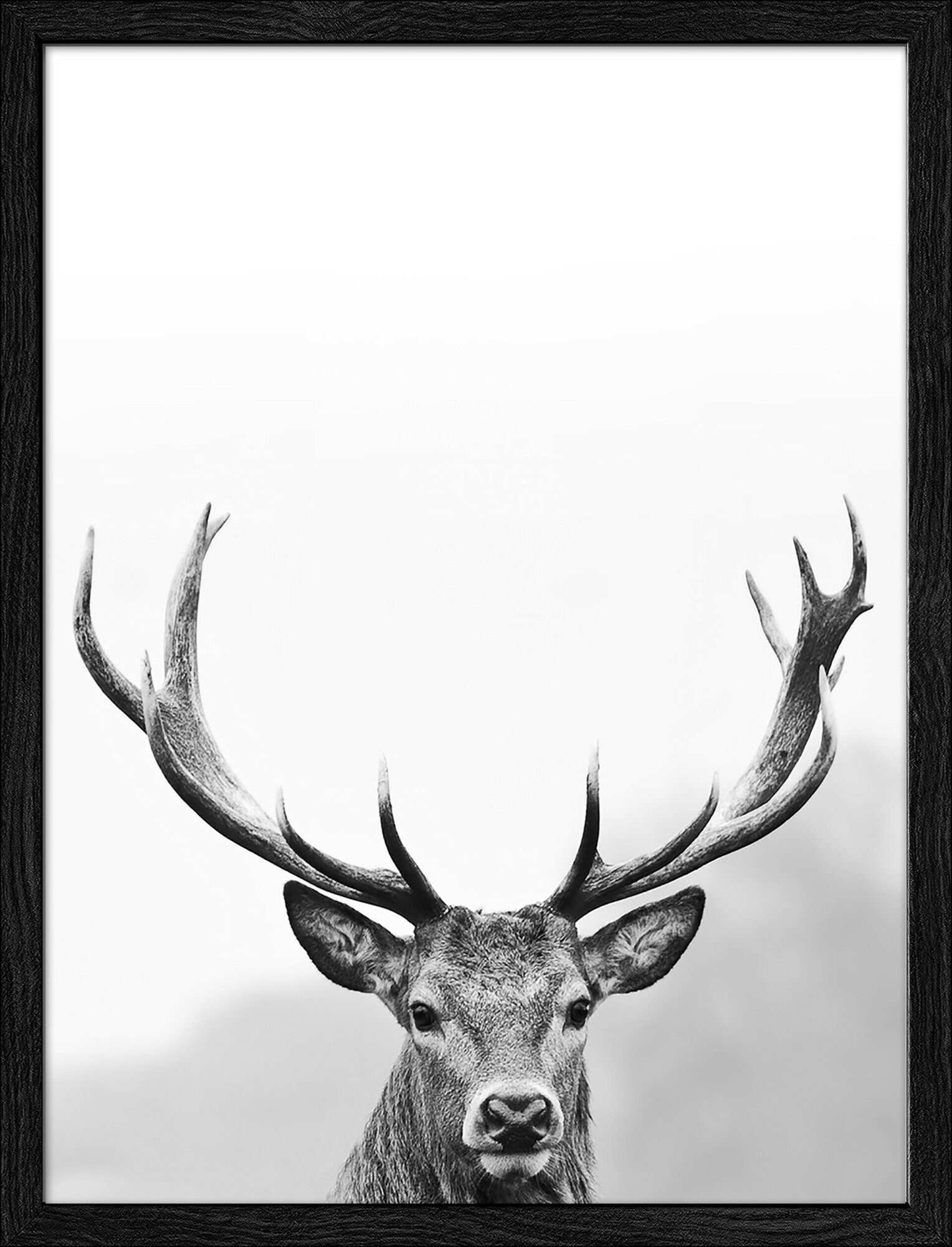 Framed-Art, Grey Deer Head III