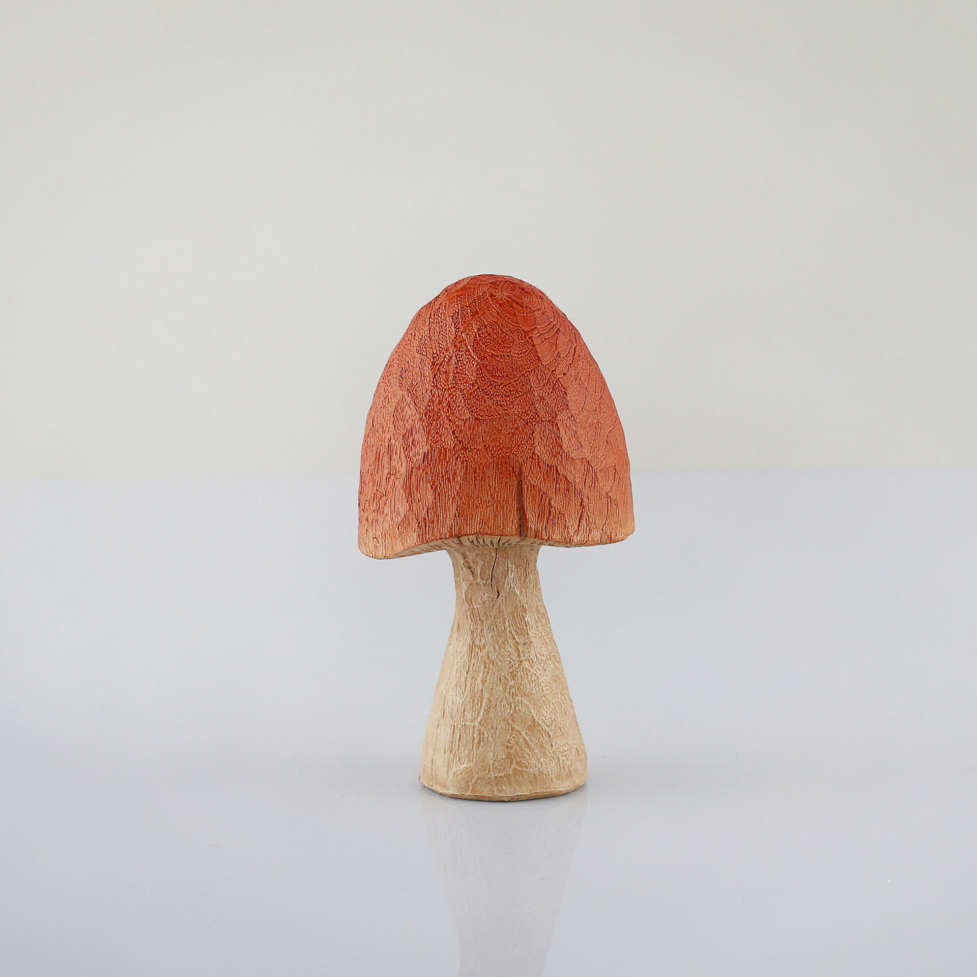 Deko Pilz