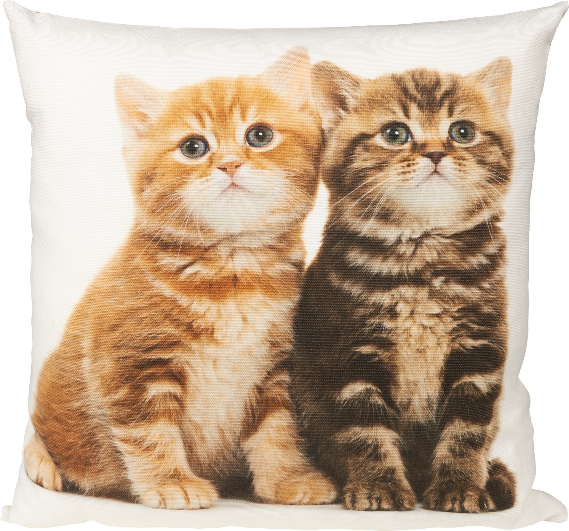 Kissenhülle, Tabby Kitten