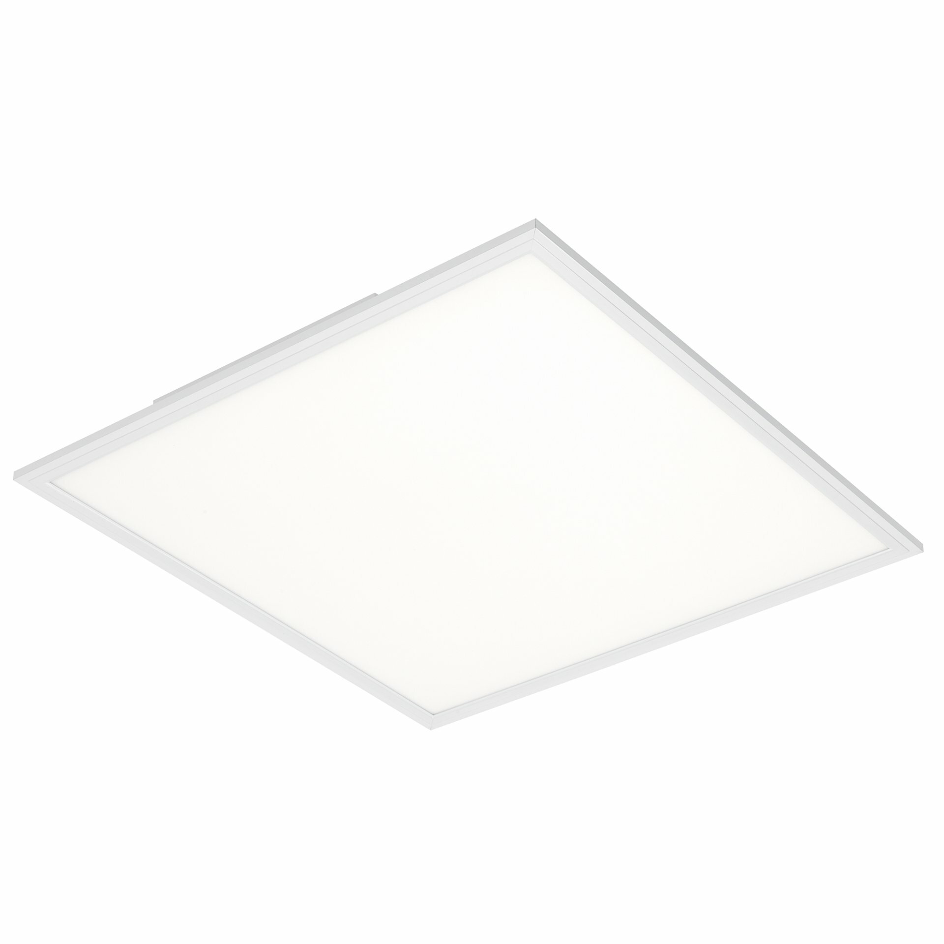 Panel, Piatto