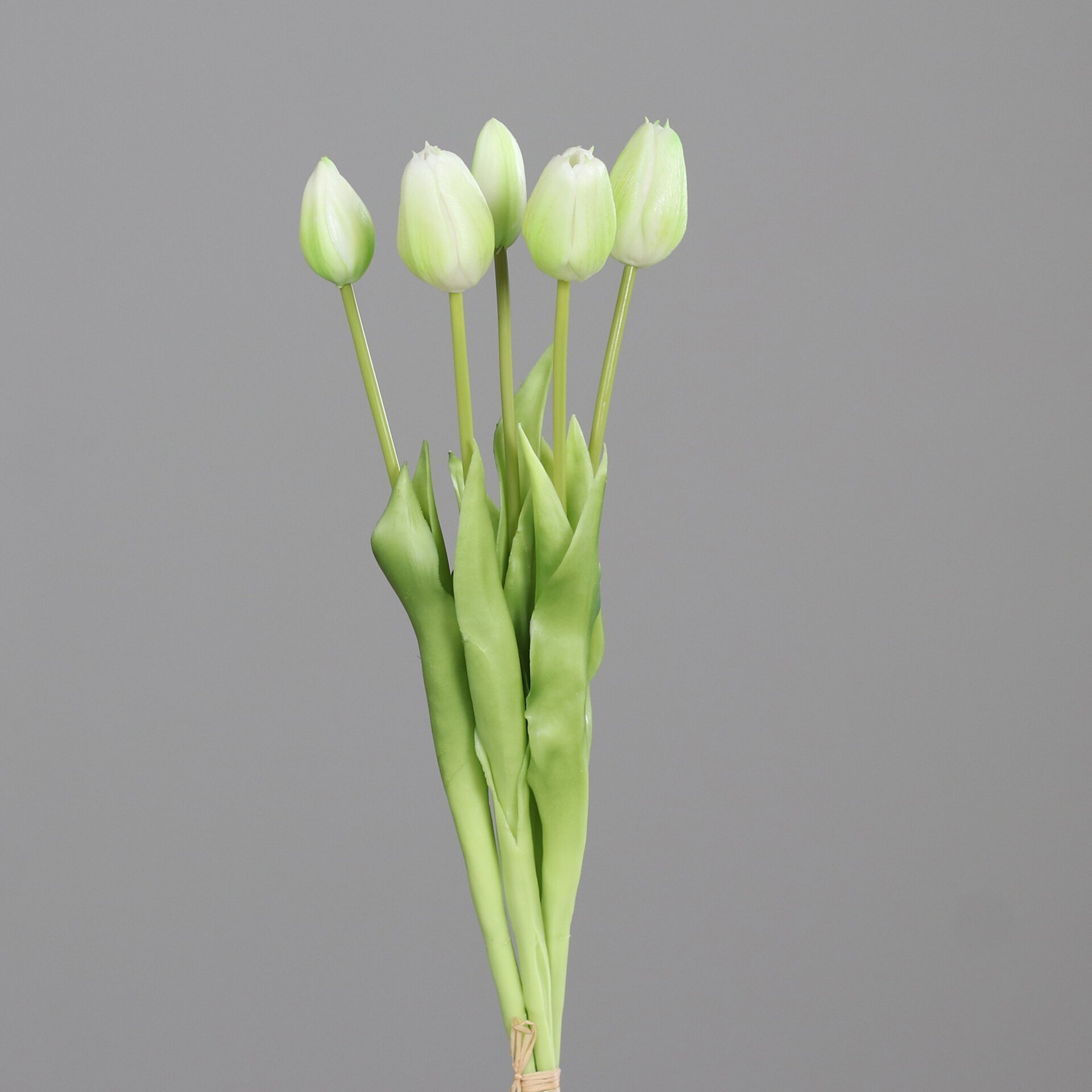 Tulpenbund