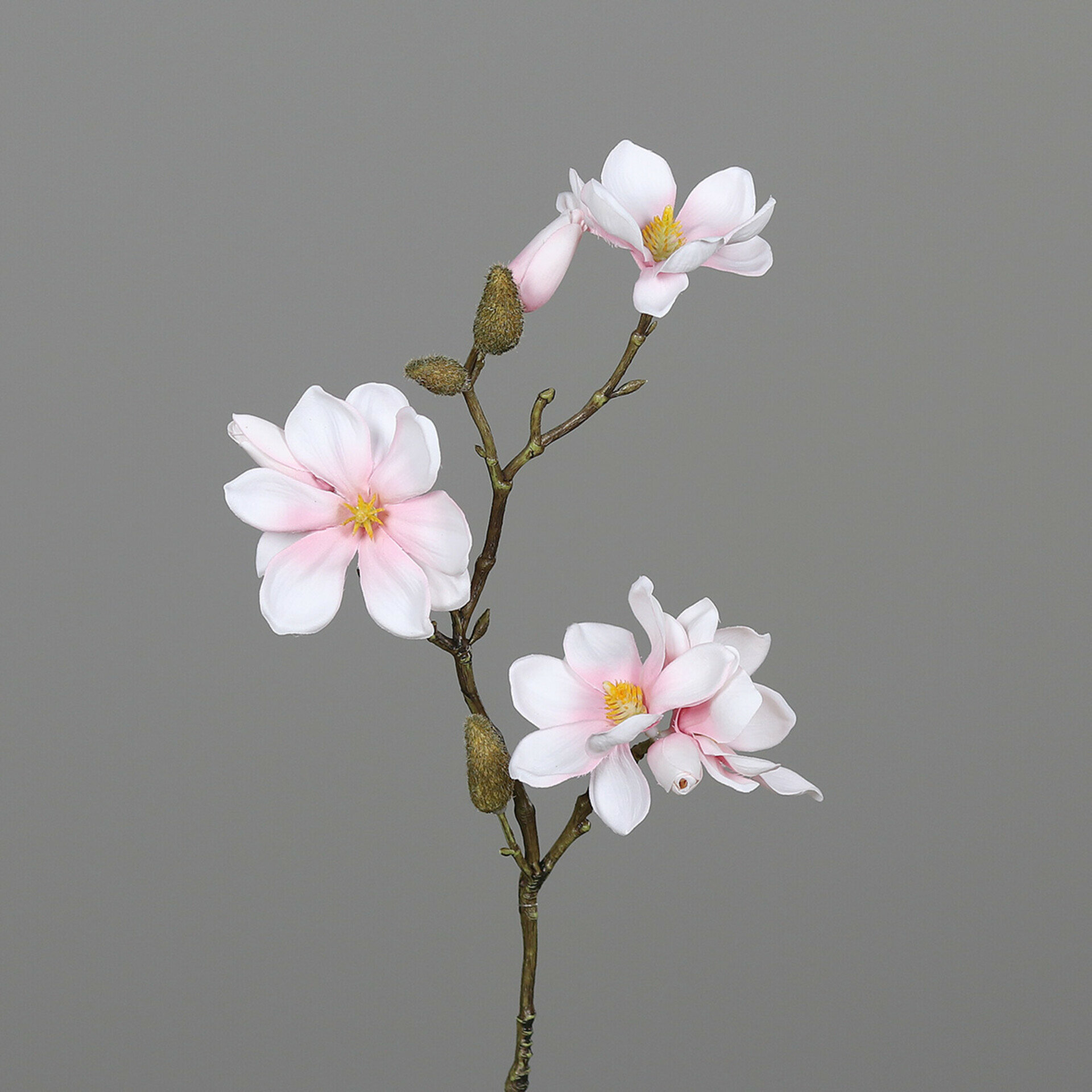 Magnolien Pick