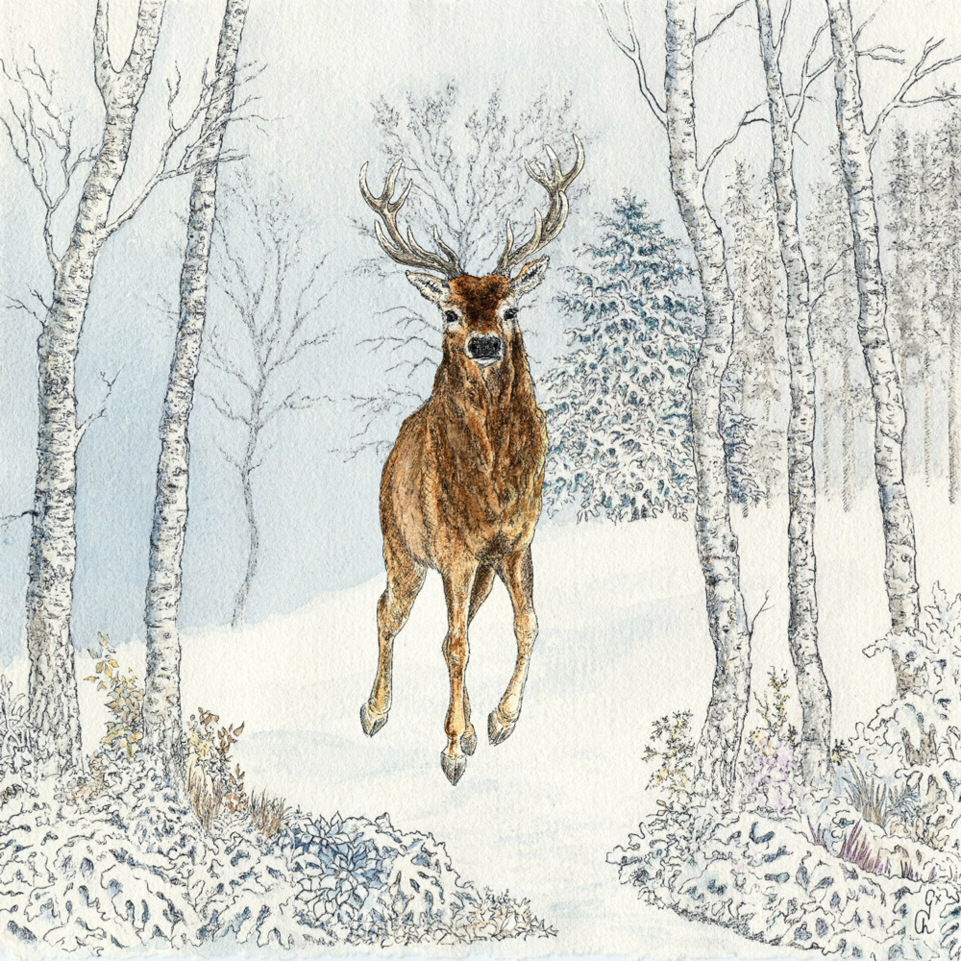 TI Napkin 33x33