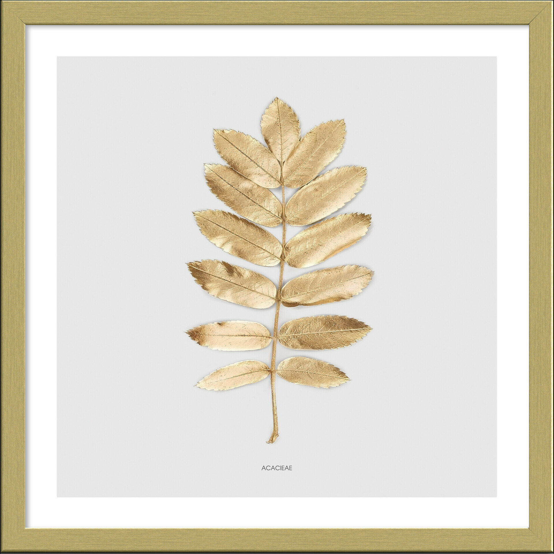 Framed-Art, Golden Leaf II