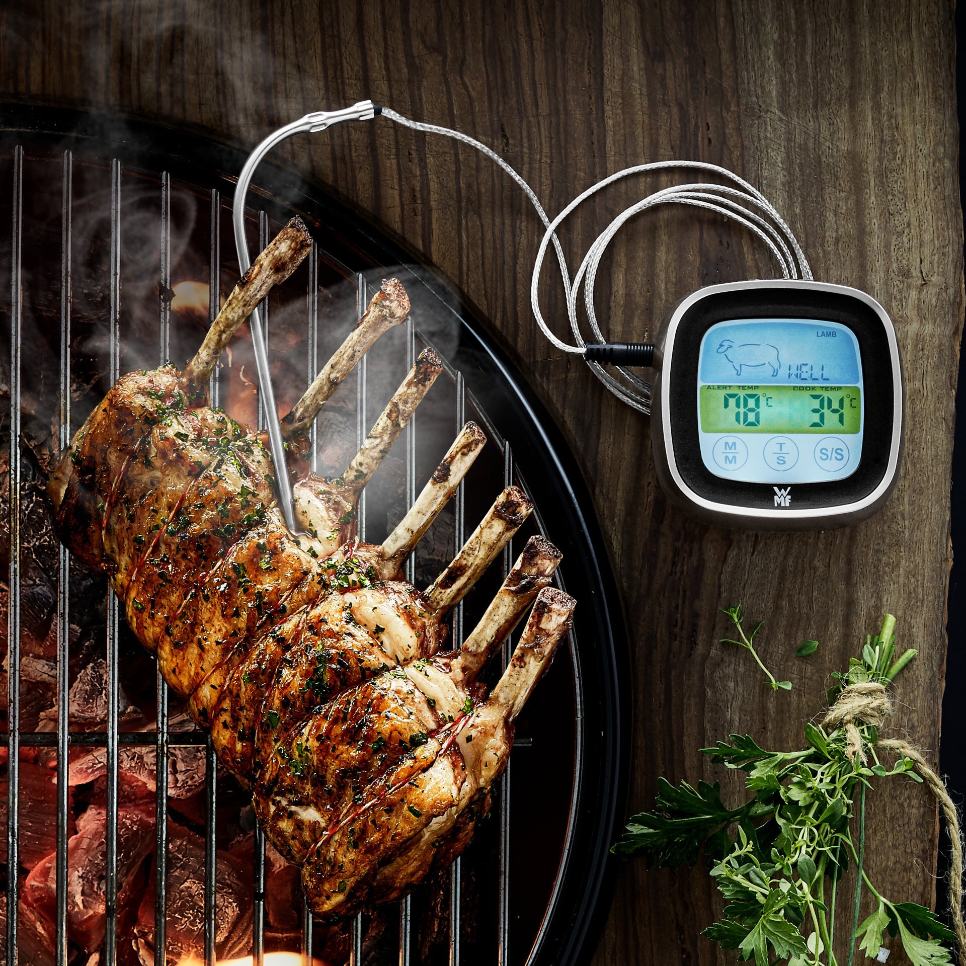 Bratenthermometer, Bbq