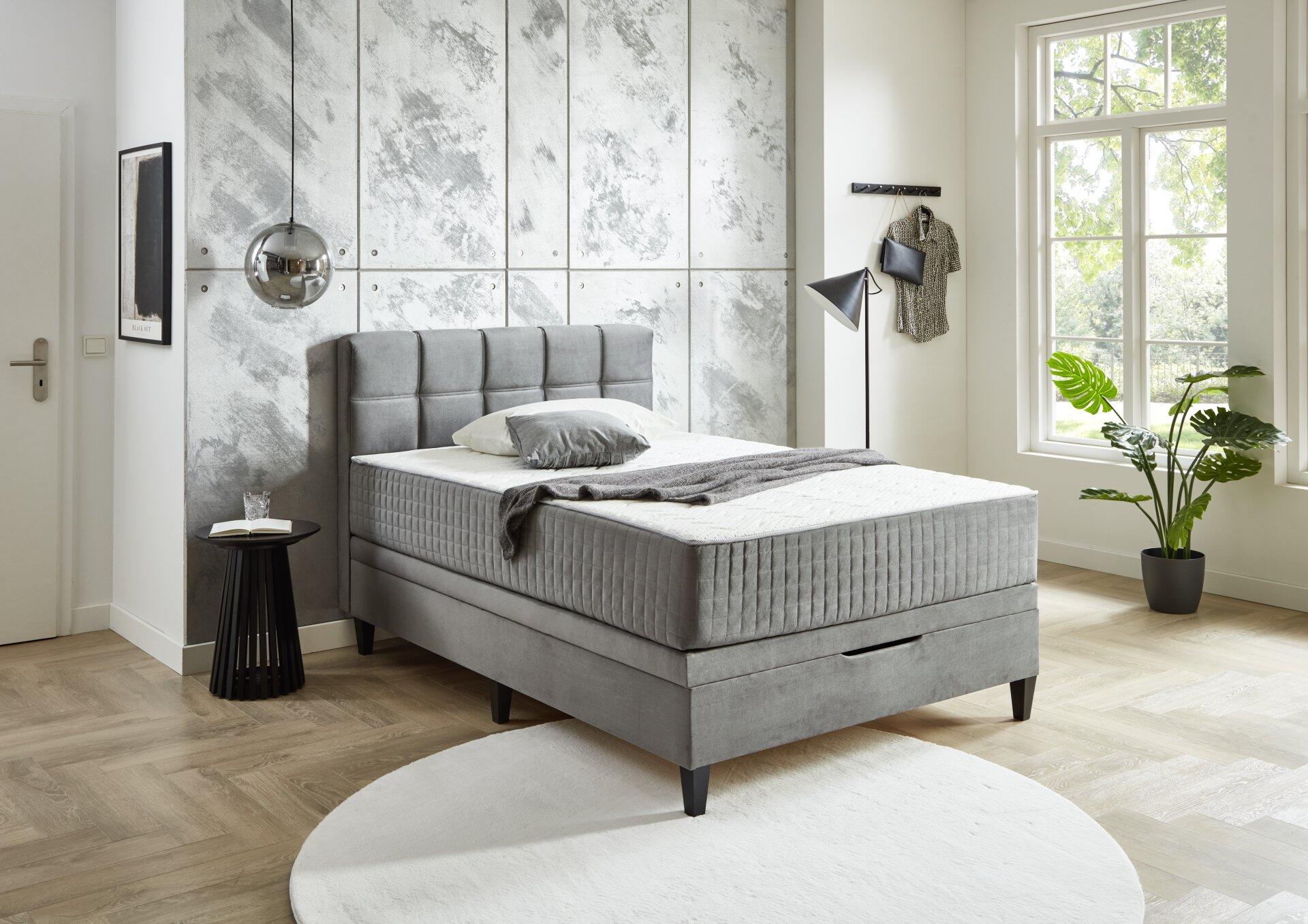 Boxspringbett Wien BX2590 mit grauem Samtbezug, Kopfteil und integriertem Bettkasten, dargestellt aus leicht seitlicher Perspektive mit angrenzendem Nachttisch und Zimmerpflanze.