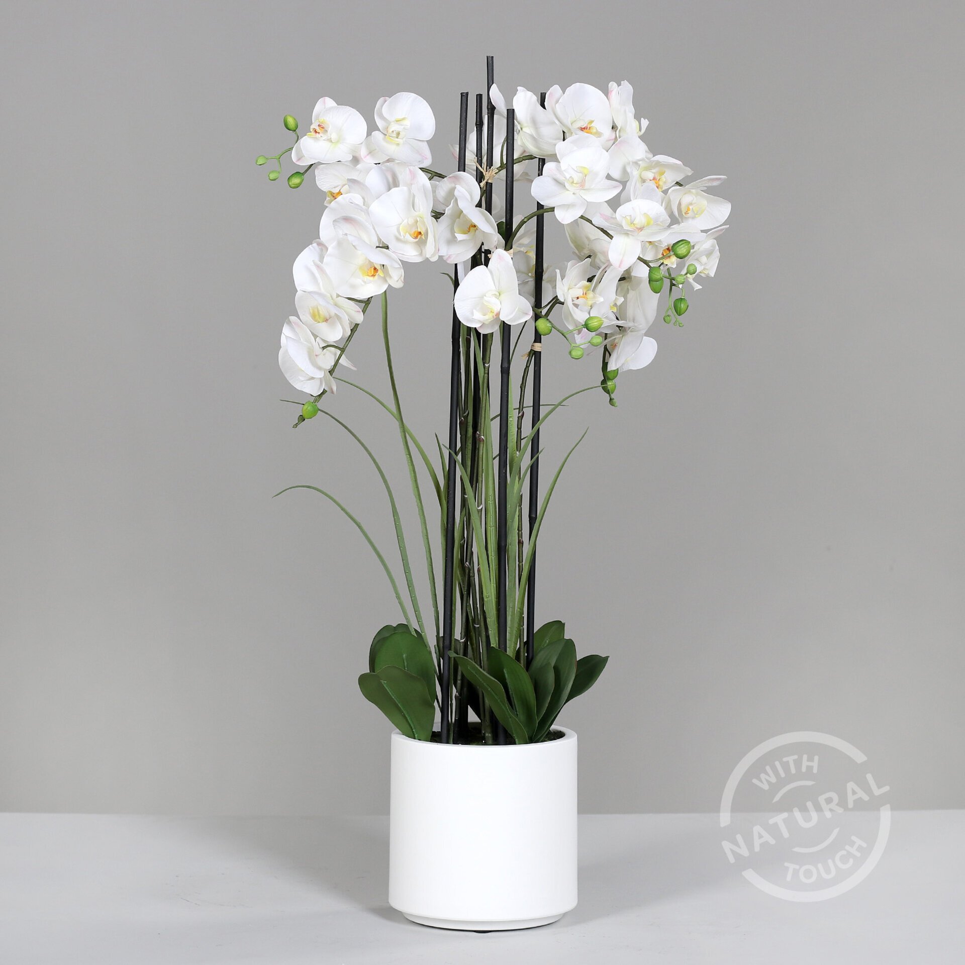 Orchideen-Arrangemen
