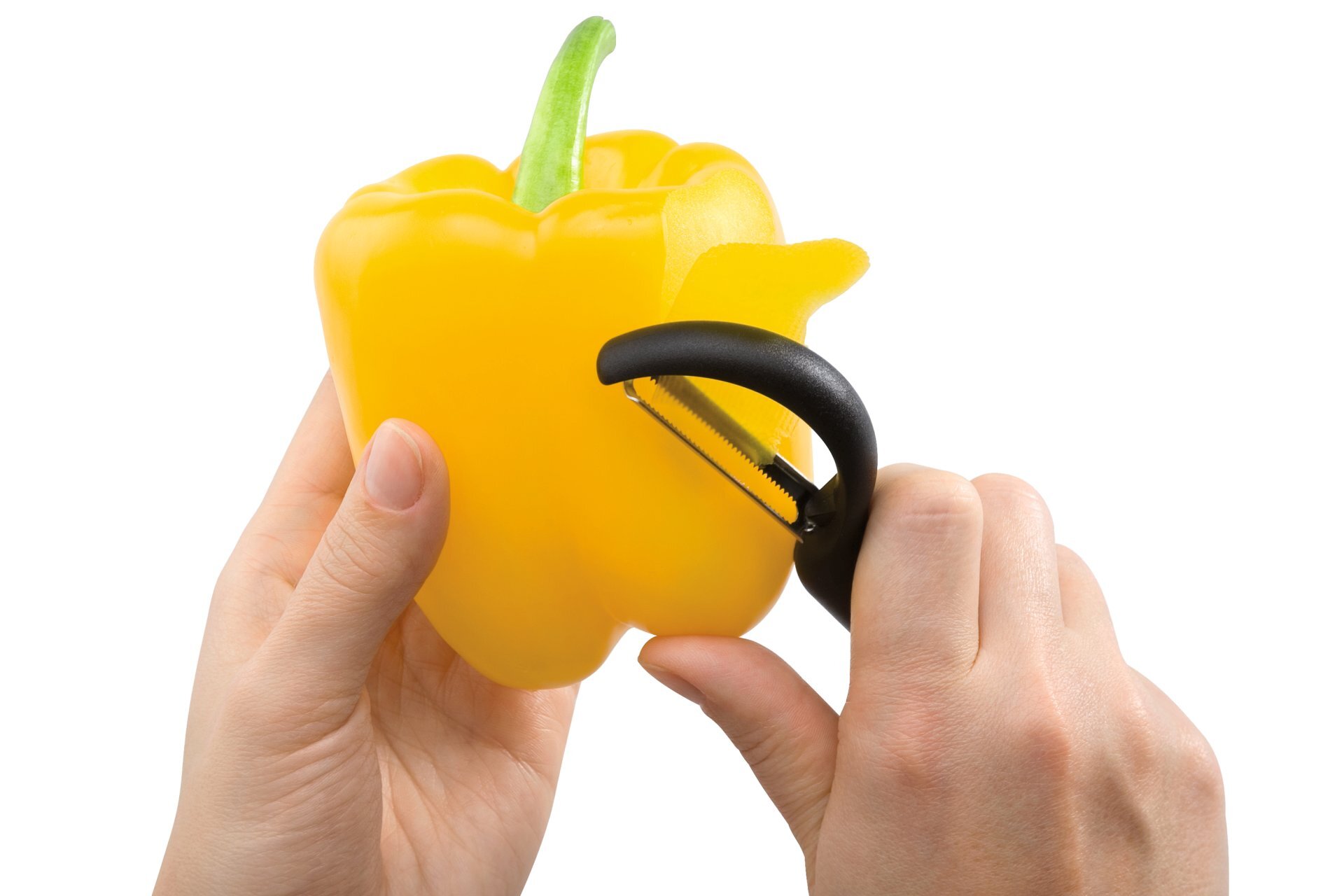 Tomaten-/, Küchenwerkezuge