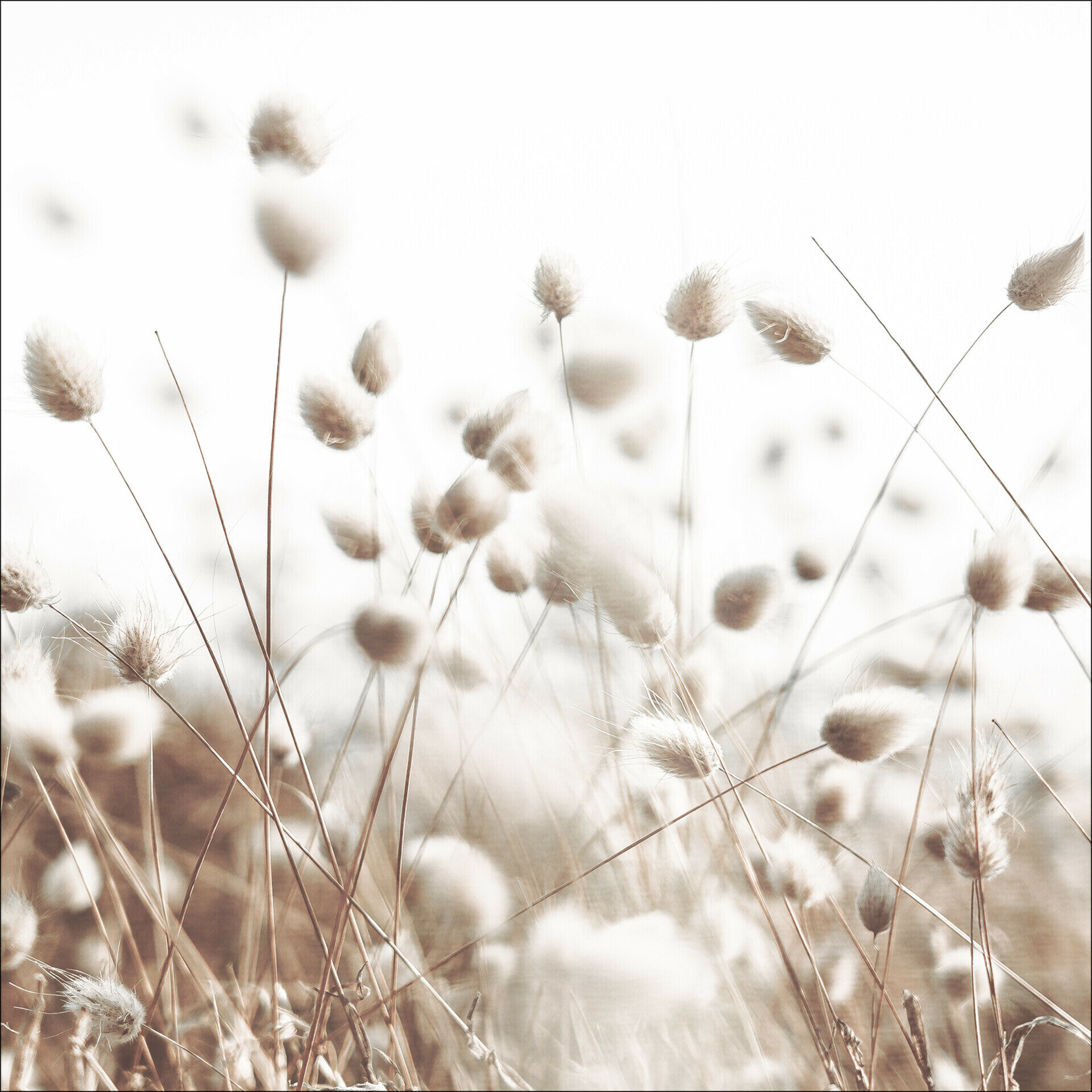 Alu-Art Classic, Field flowers V