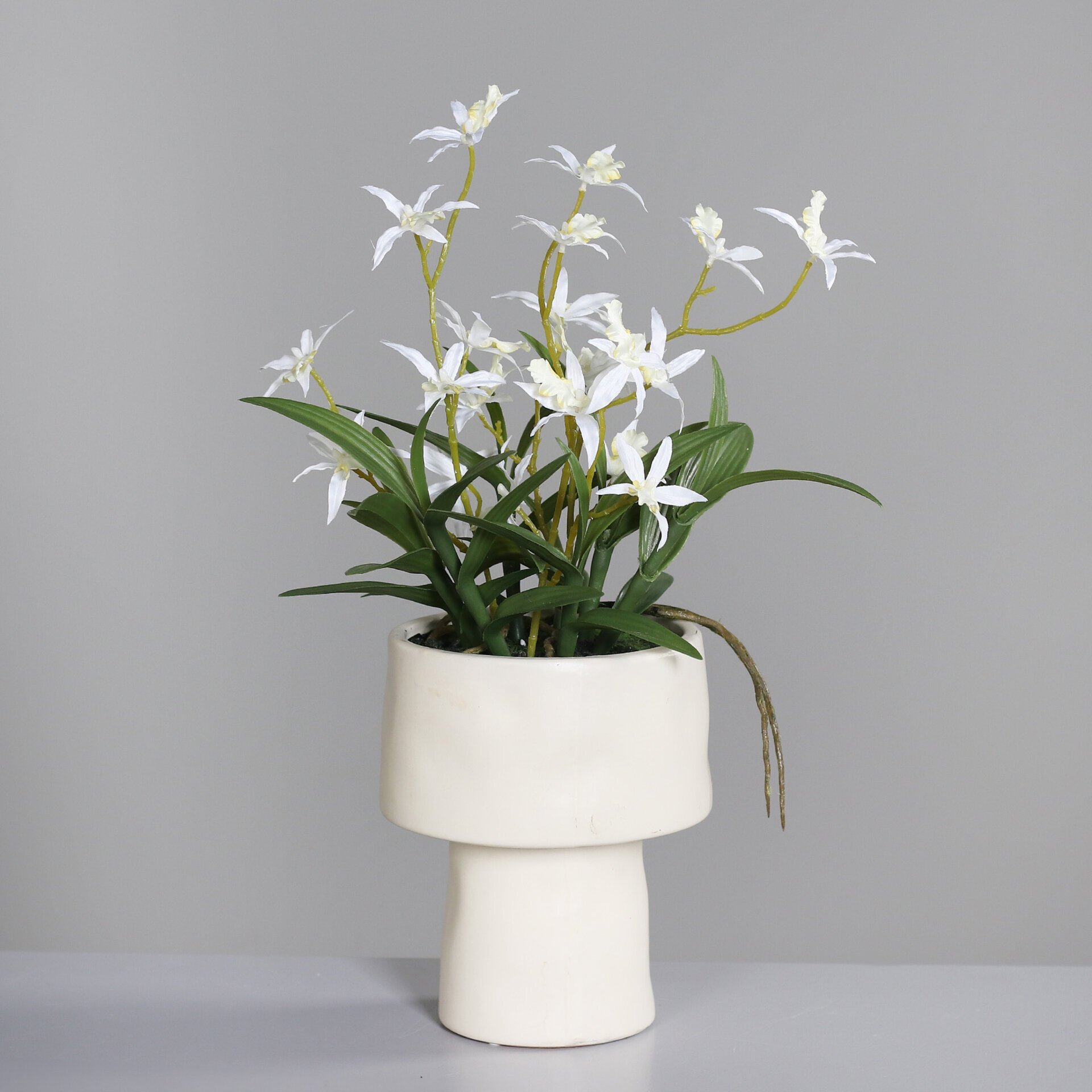 Orchideen