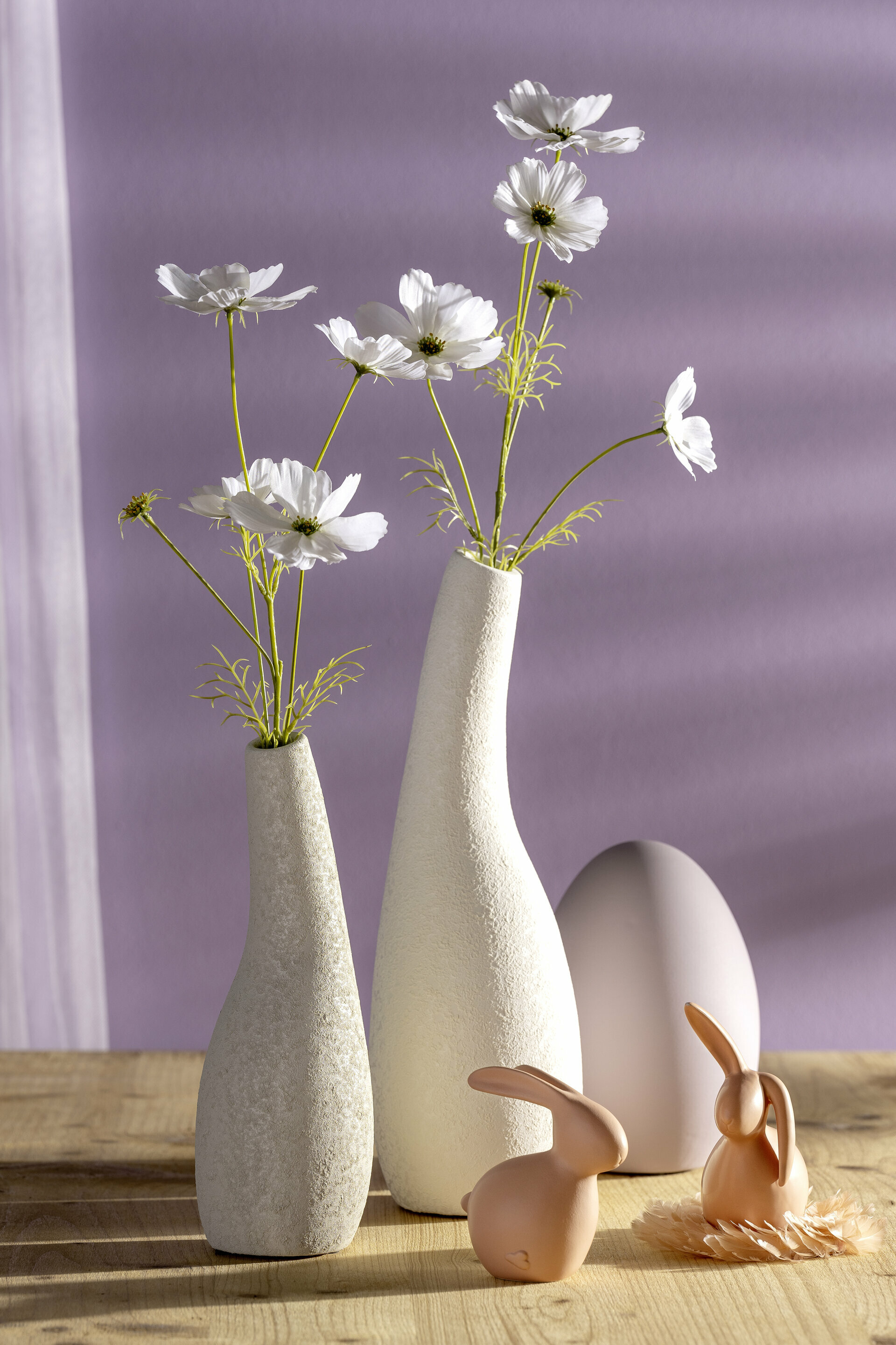 Cosmea, Luminosa