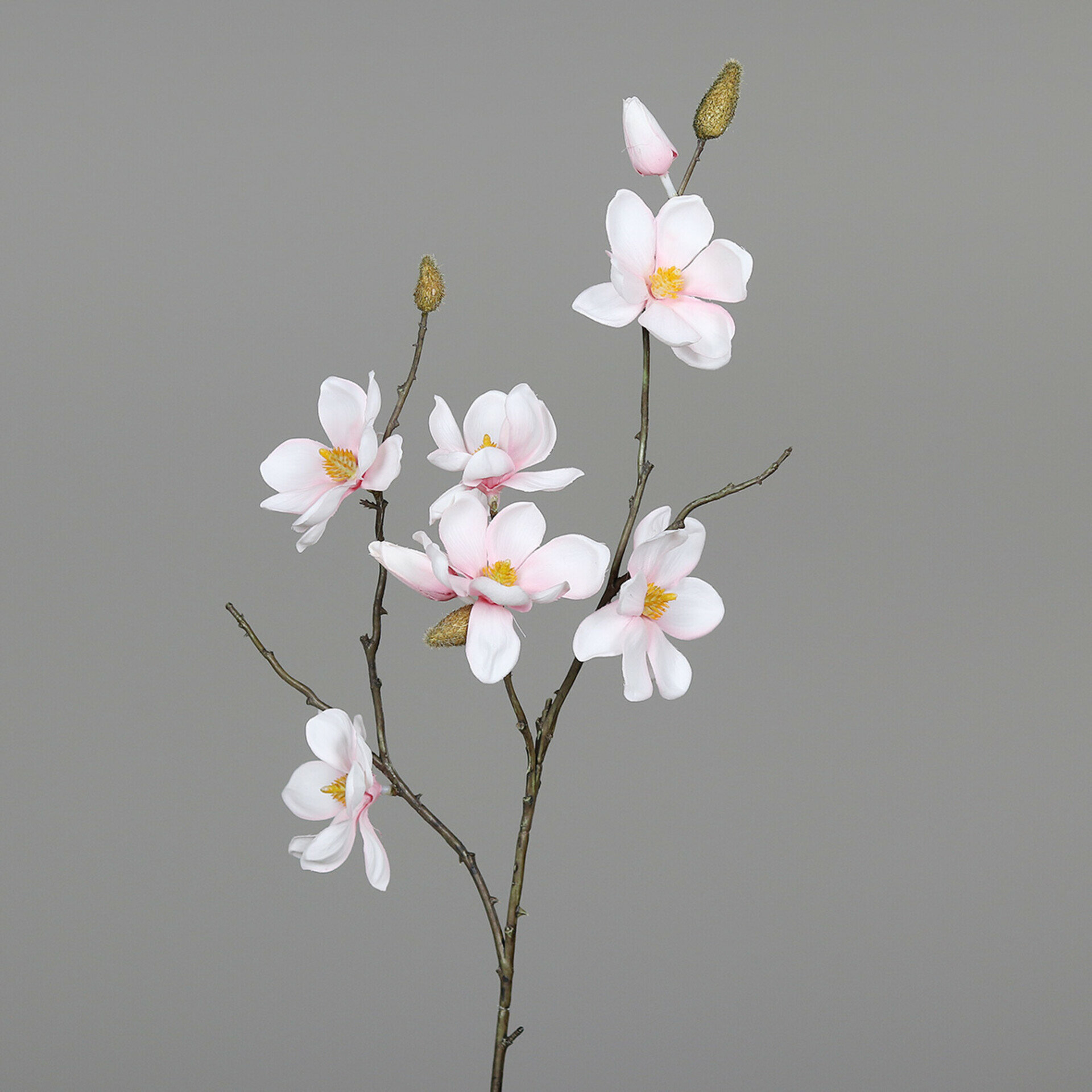 Magnolien Pick