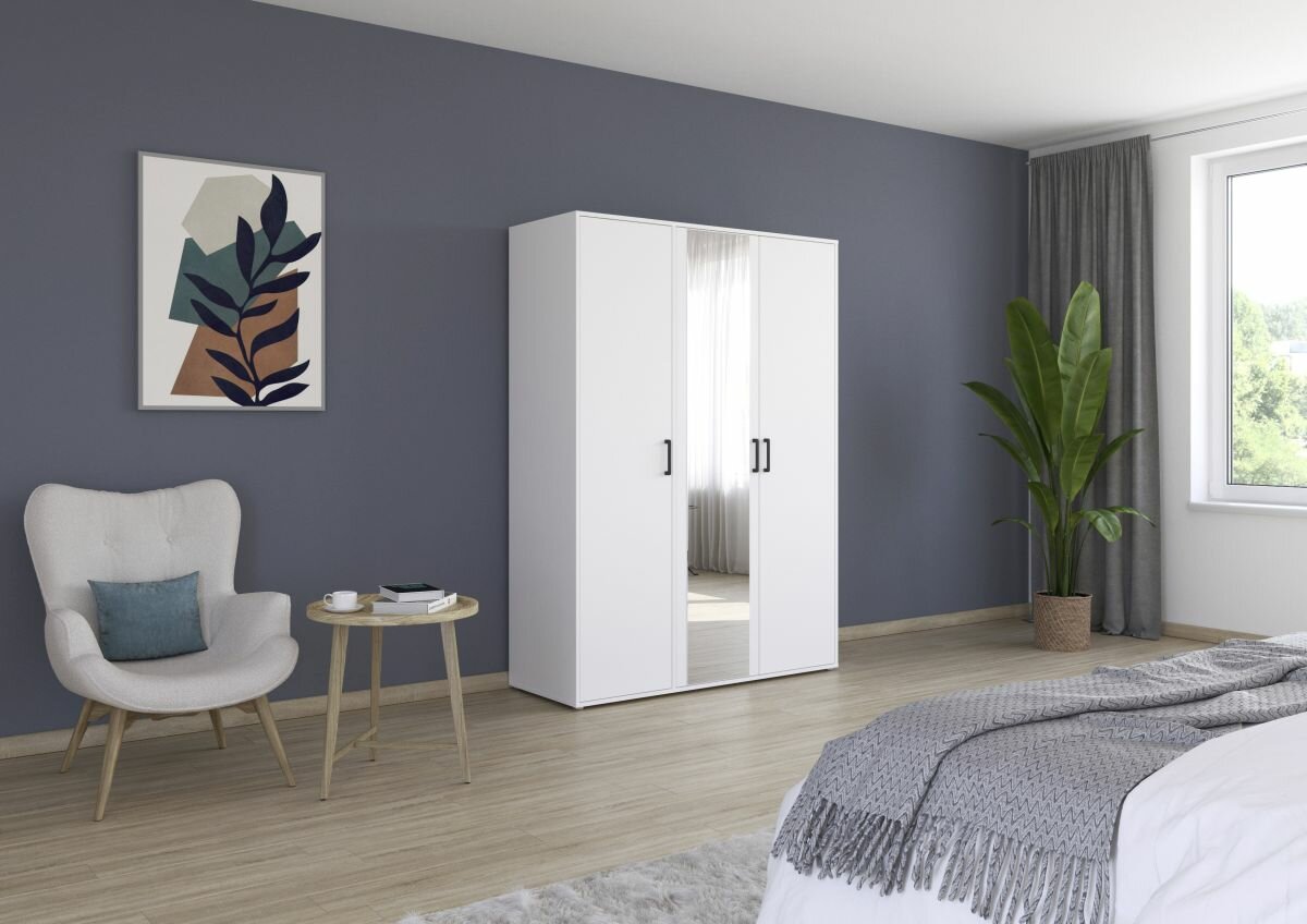 Drehtürenschrank, Voyager