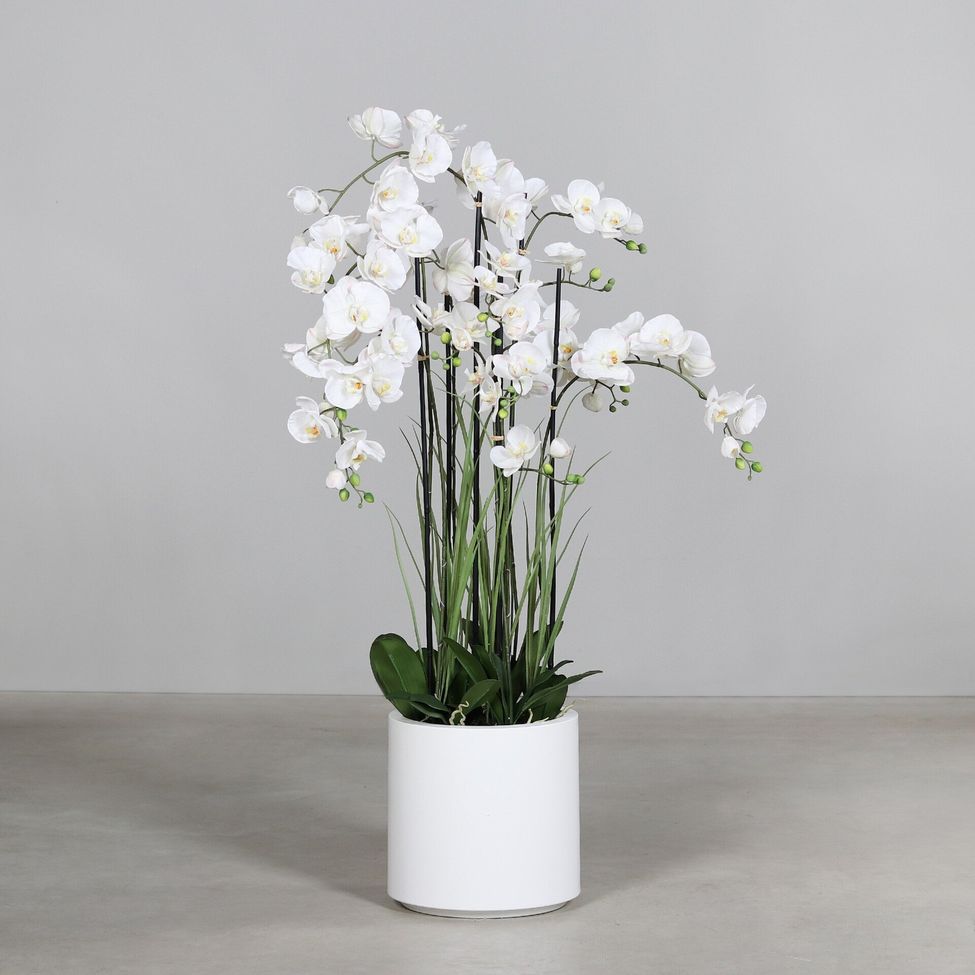 Orchideen-Arrangemen