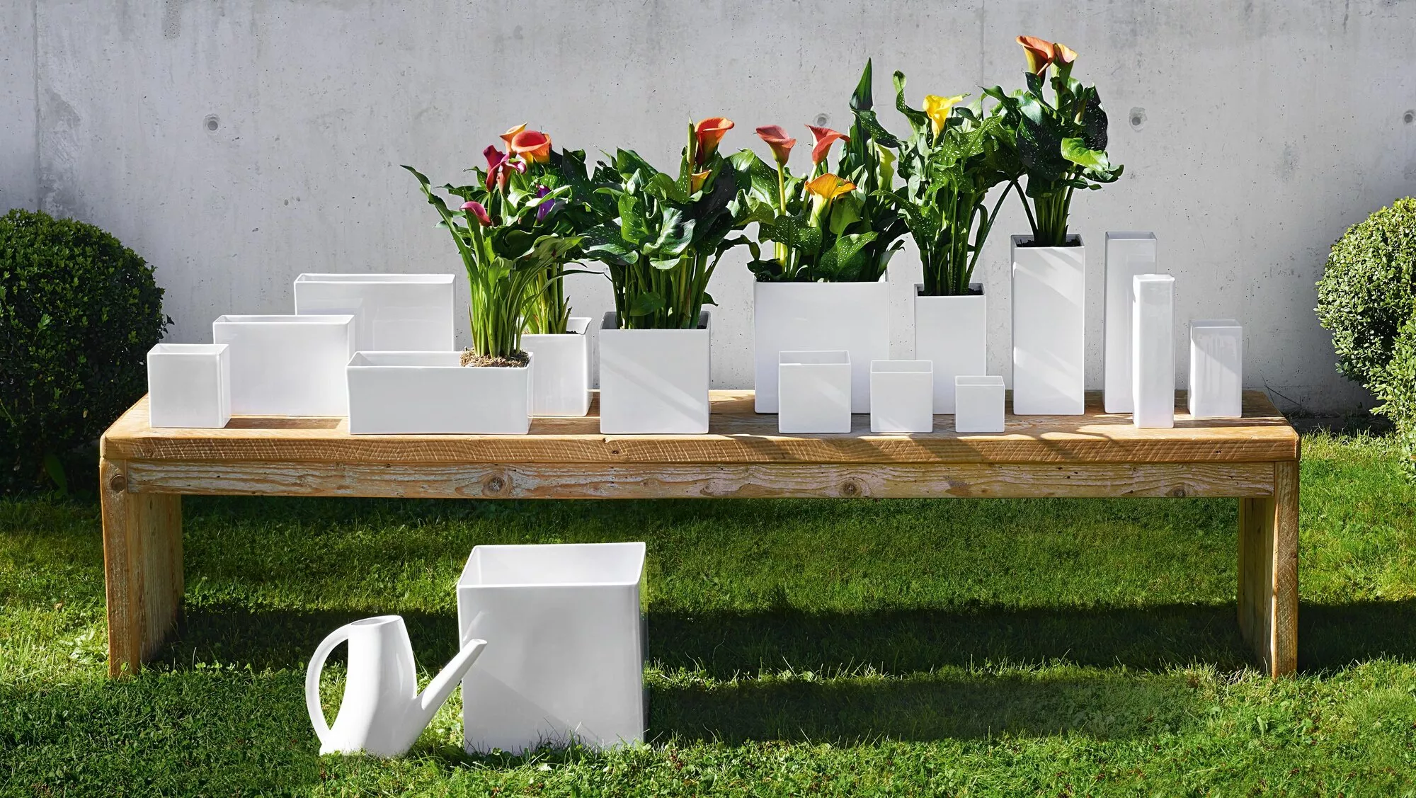 Vase, Quadro Vase, Quadro