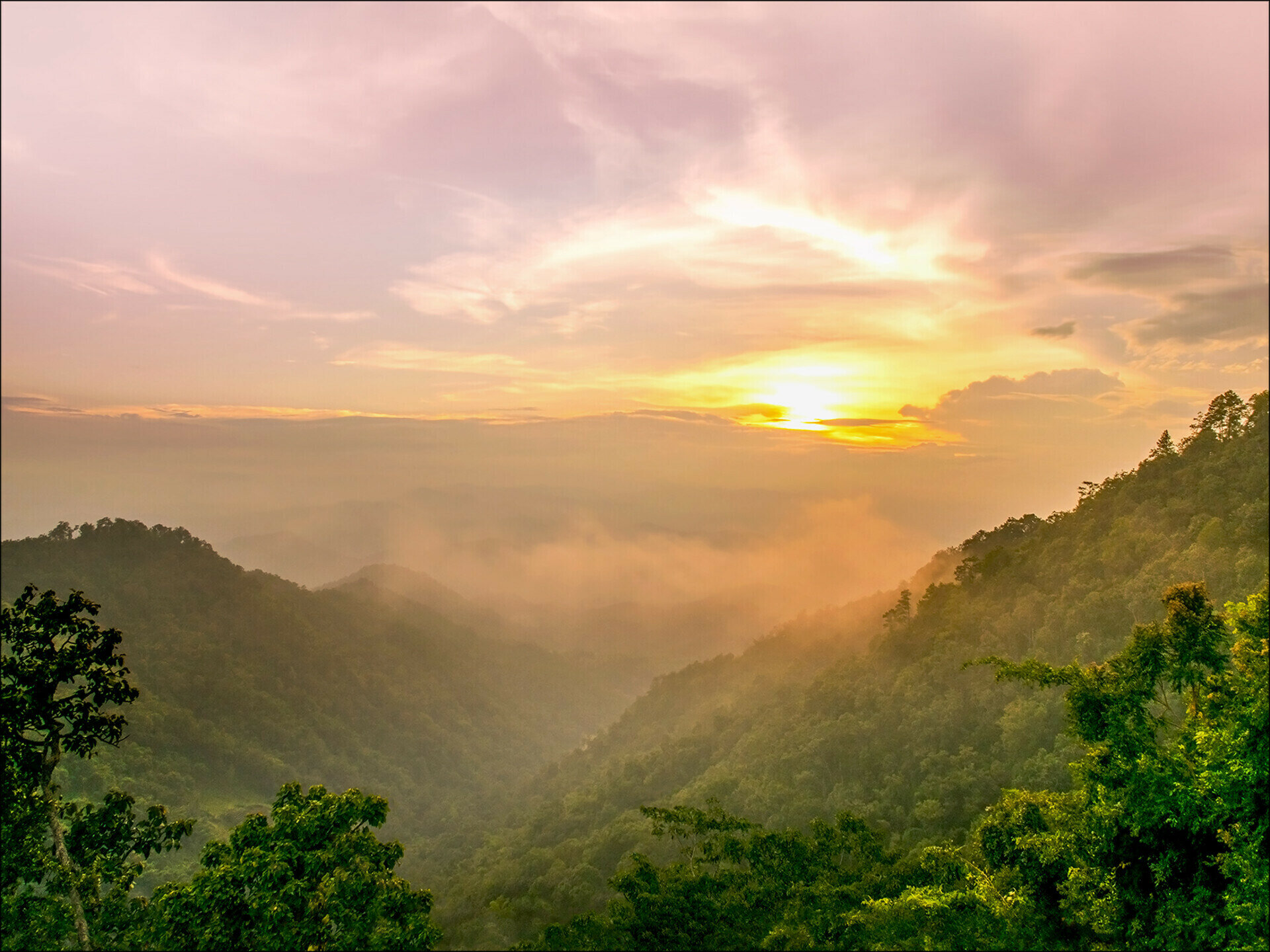Canvas-Art, Above The Jungle I