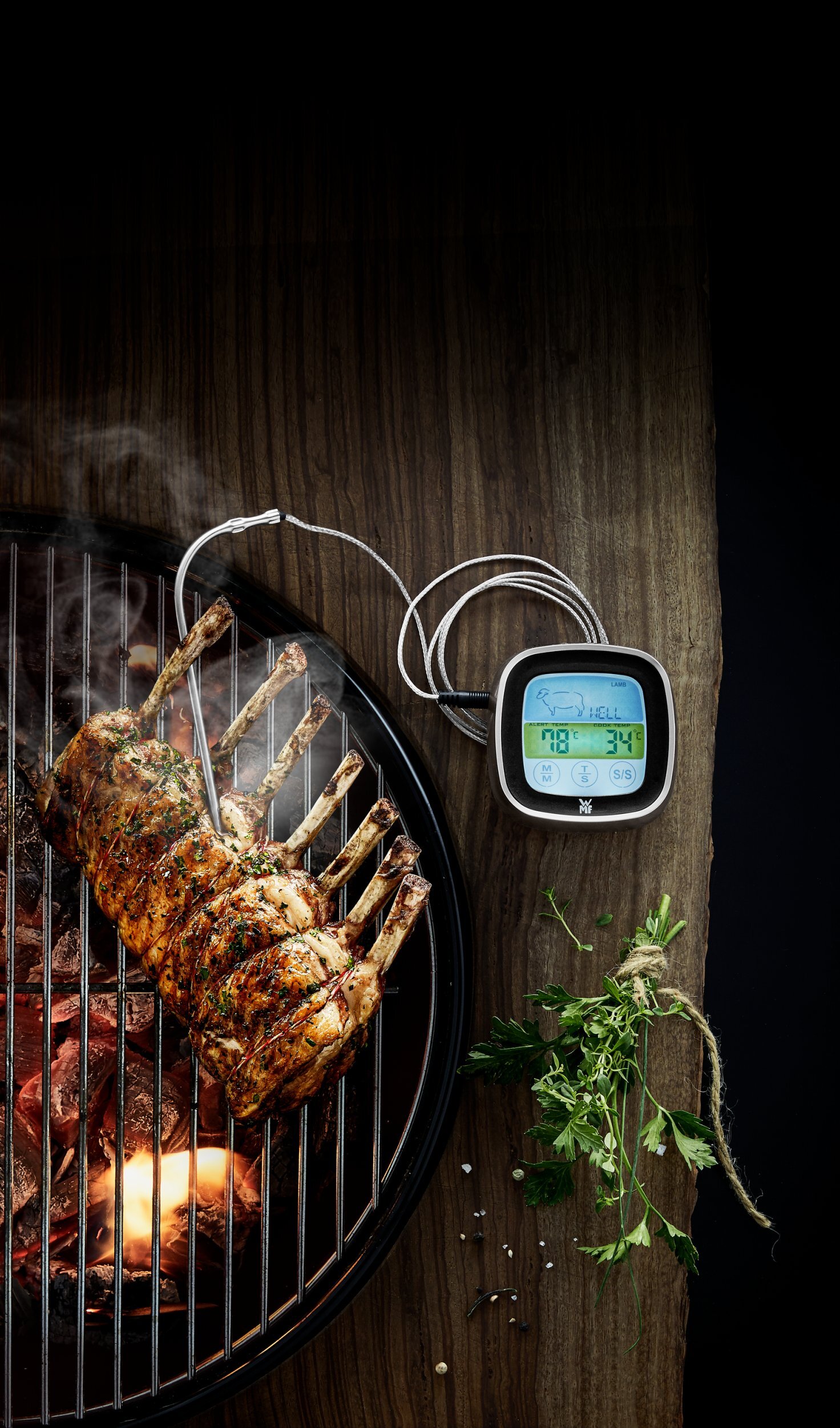 Bratenthermometer, Bbq