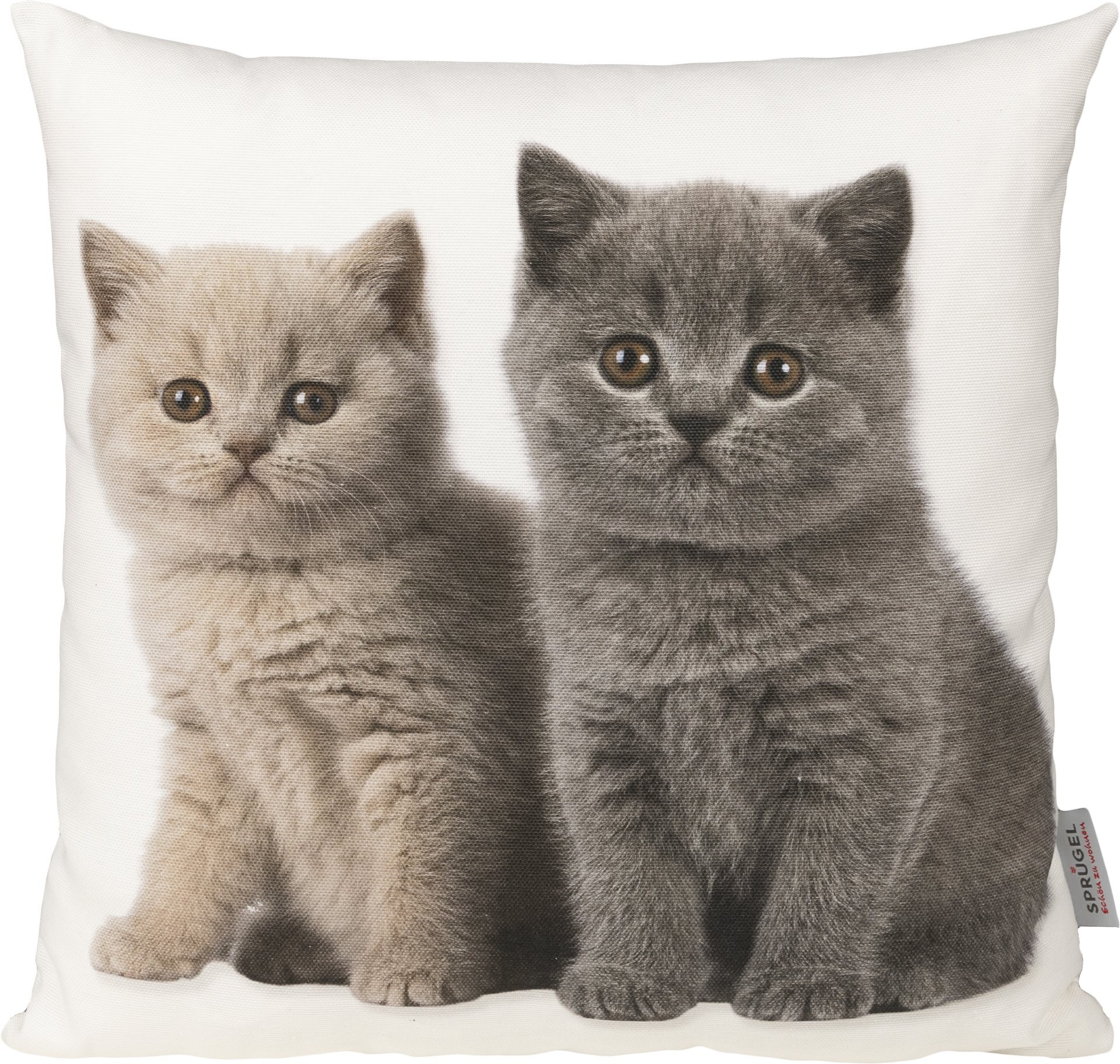 Kissenhülle, British Kitten