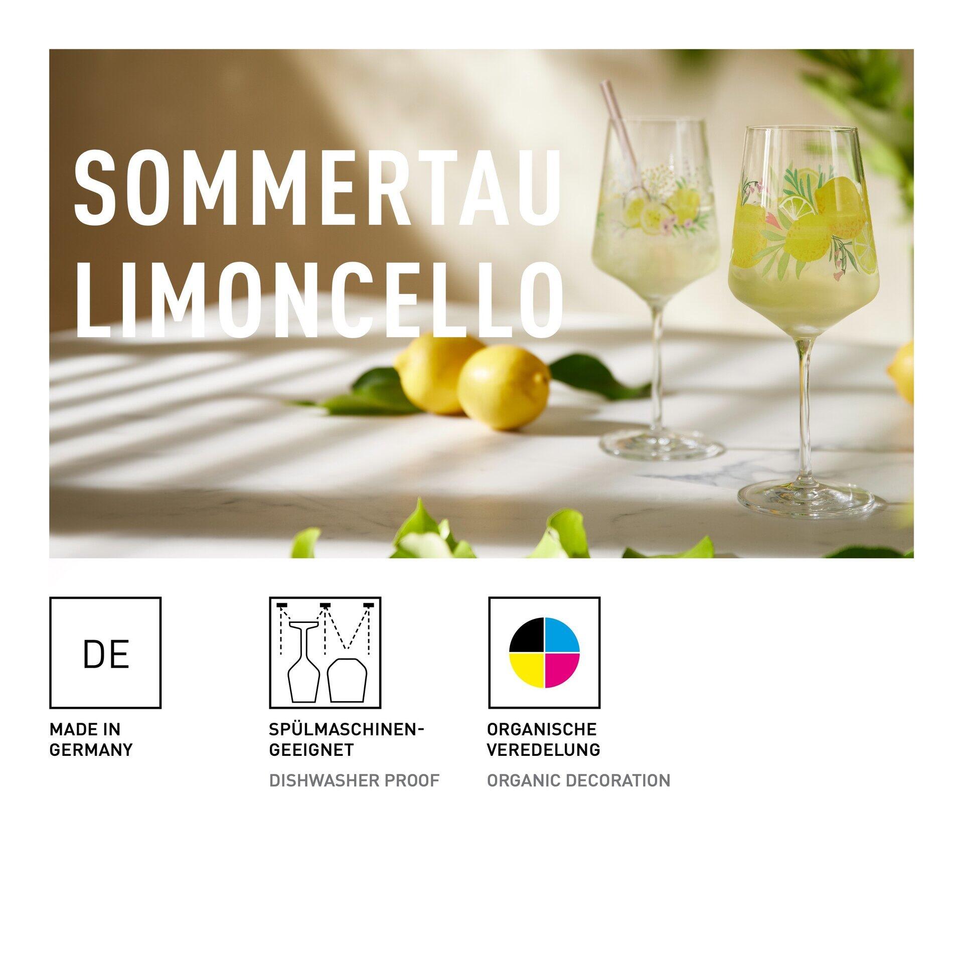 Aperitifglas-Set aus zwei Gläsern mit Limoncello auf rustikalem Untergrund, ergänzt durch Zitronenzweig und Blätter, präsentiert in einer attraktiven Geschenkbox.
