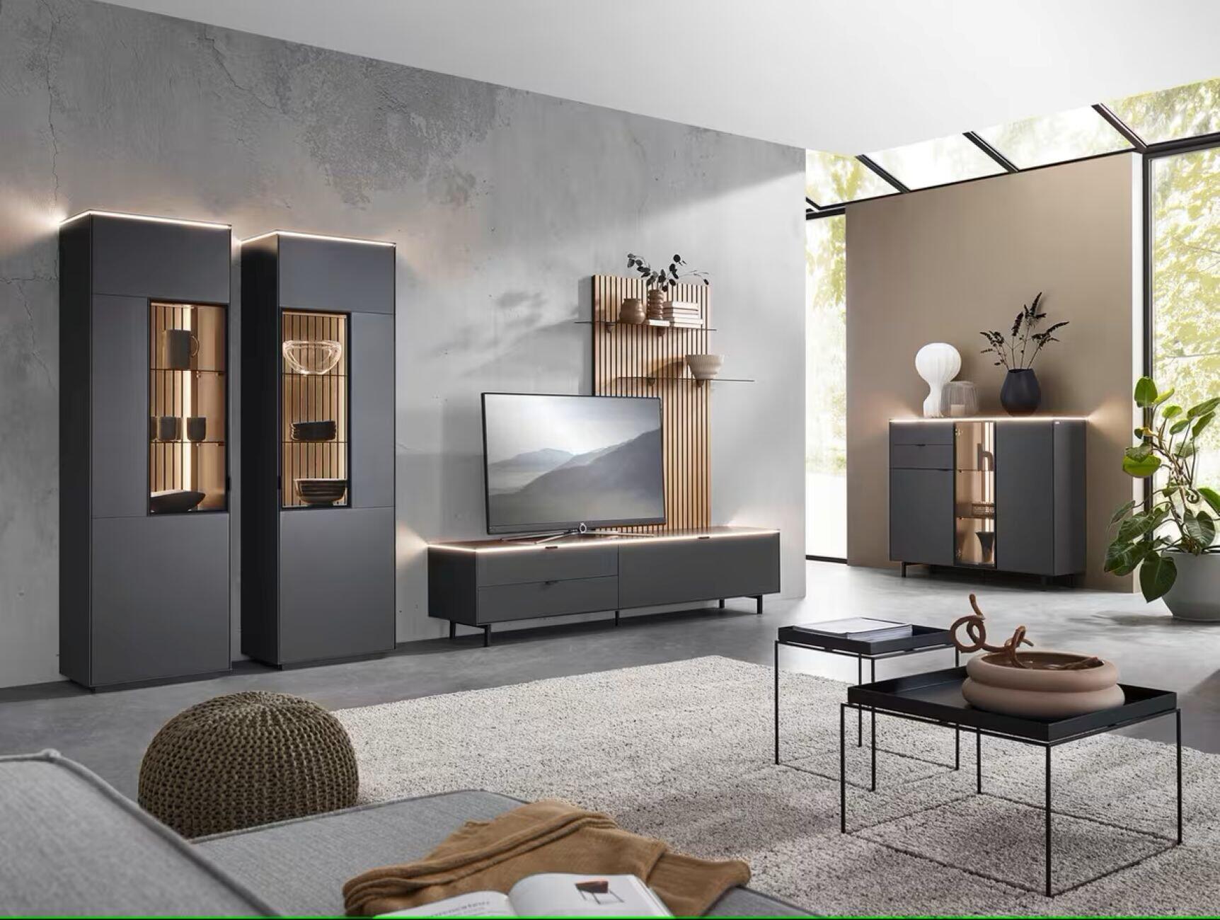 TV-Element, Riani